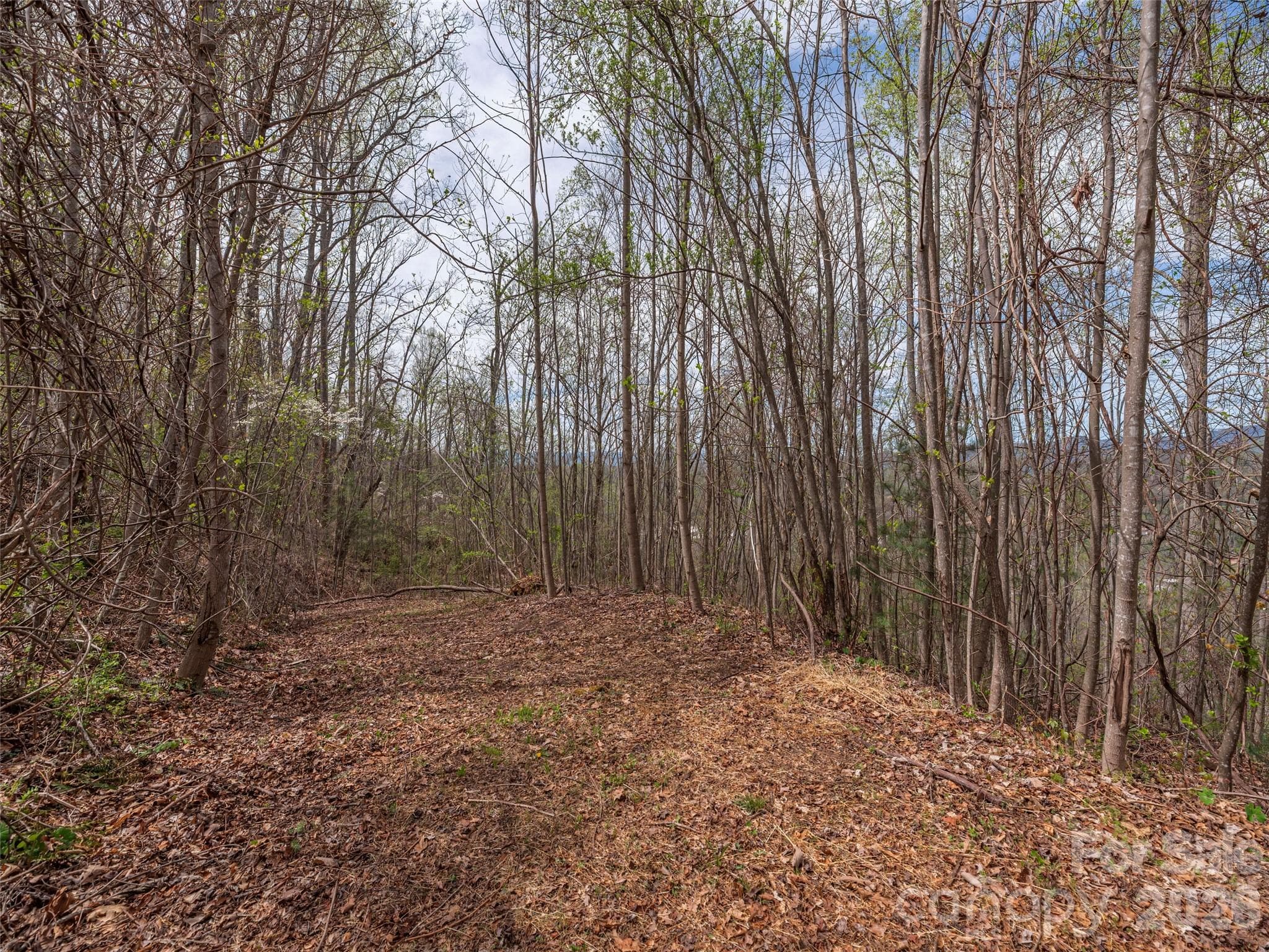 Lot at Asheville, photo 2 of 11