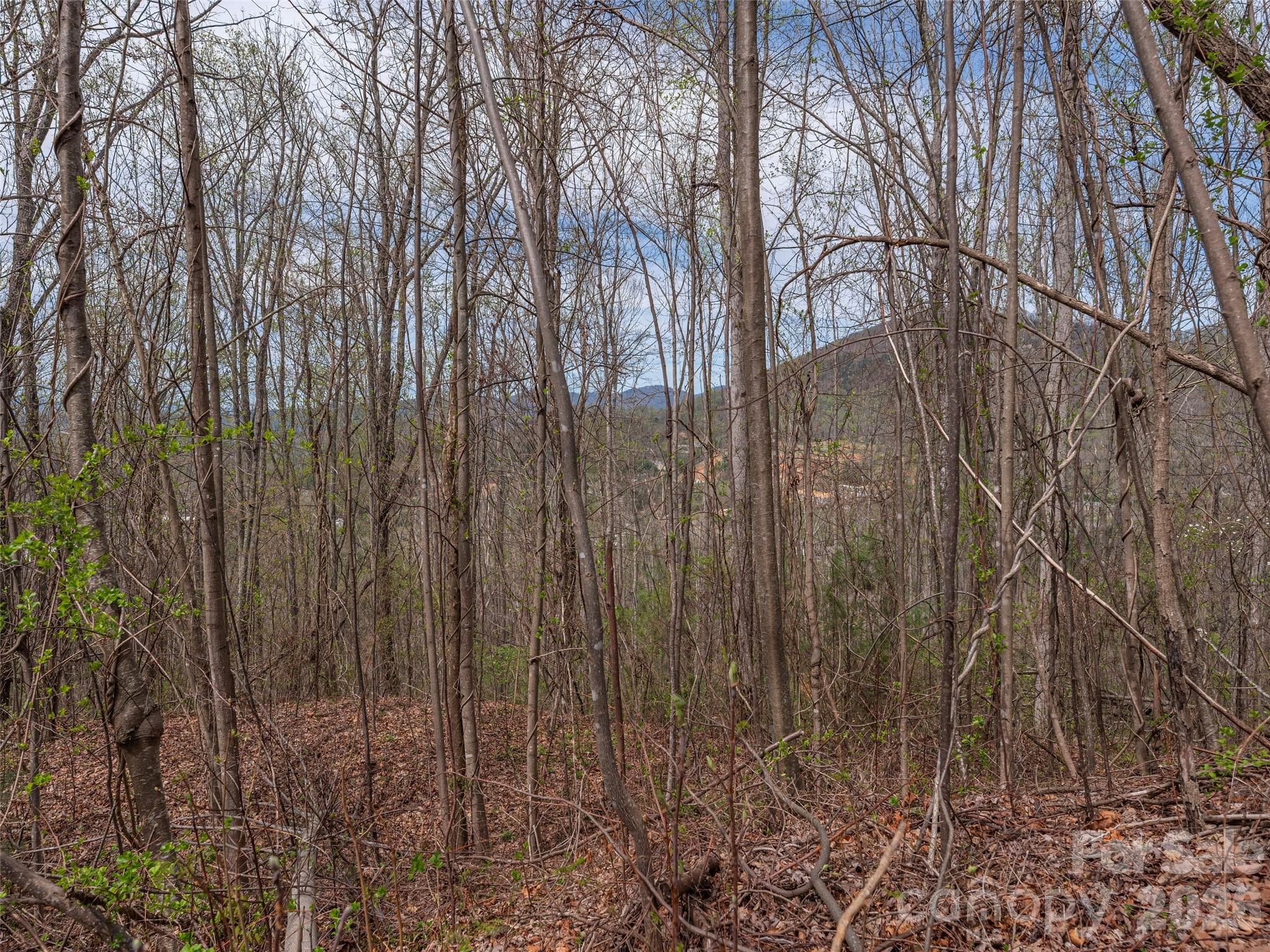 Lot at Asheville, photo 3 of 11
