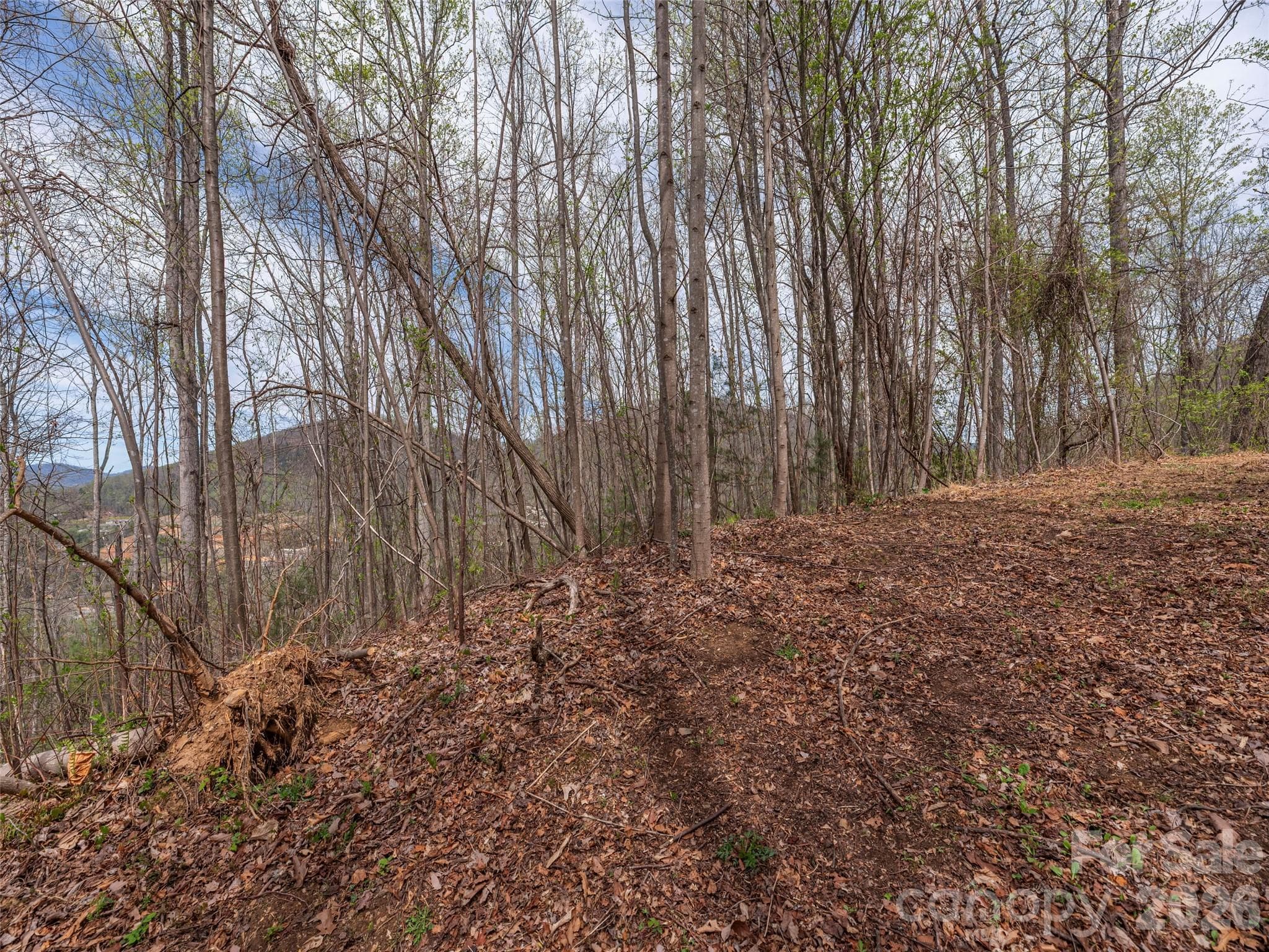 Lot at Asheville, photo 4 of 11