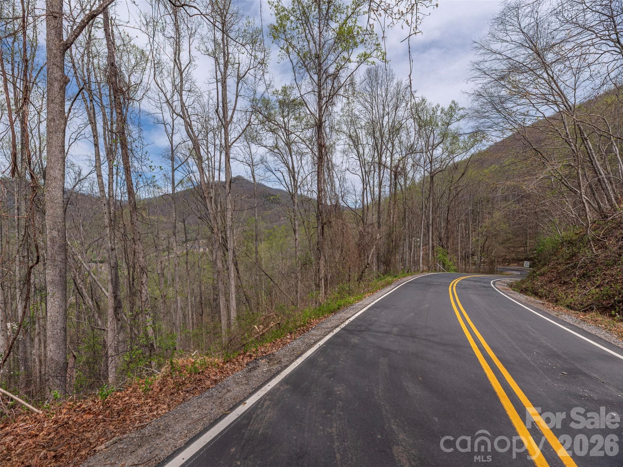 Lot at Asheville, photo 2 of 13