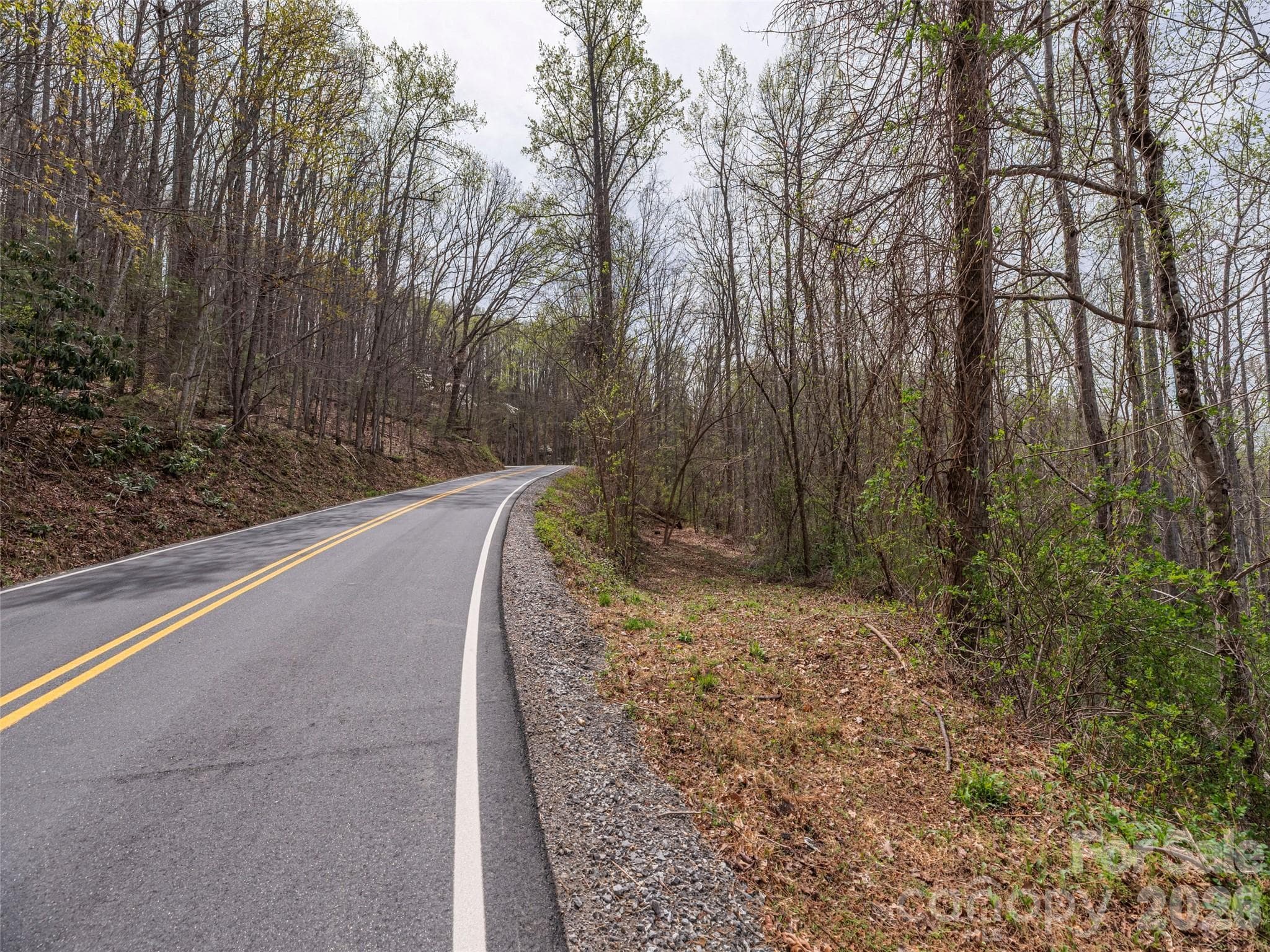 Lot at Asheville, photo 3 of 13