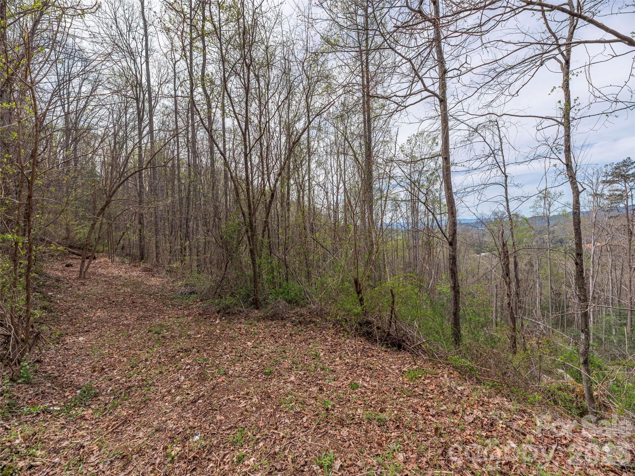 Lot at Asheville, photo 4 of 13