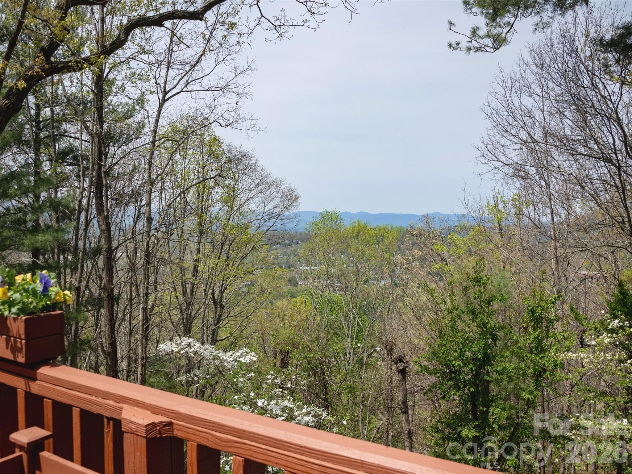 Privacy on Town Mountain - 403 Cherokee Road, Asheville