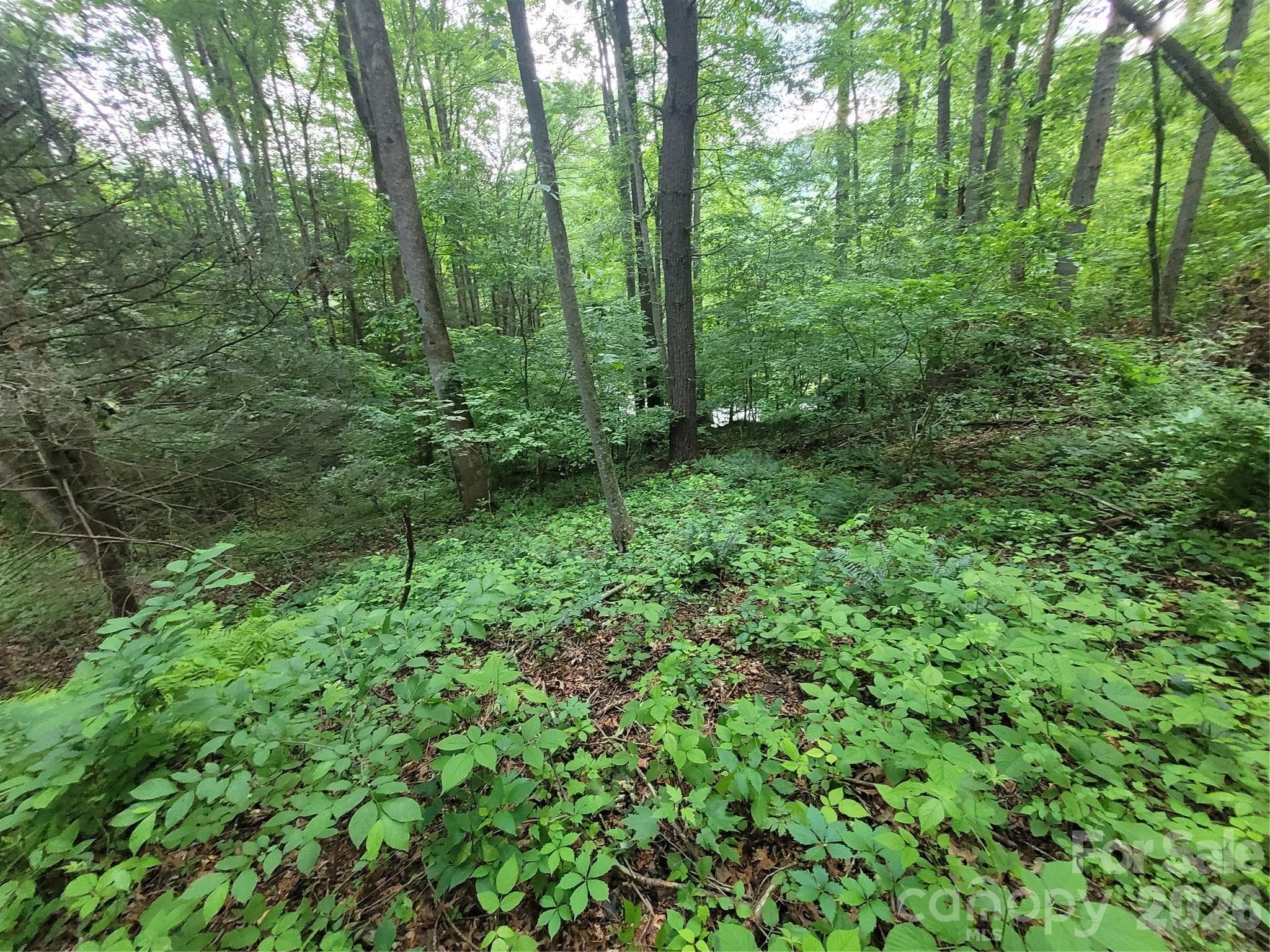 Lot at Waynesville, photo 7 of 10