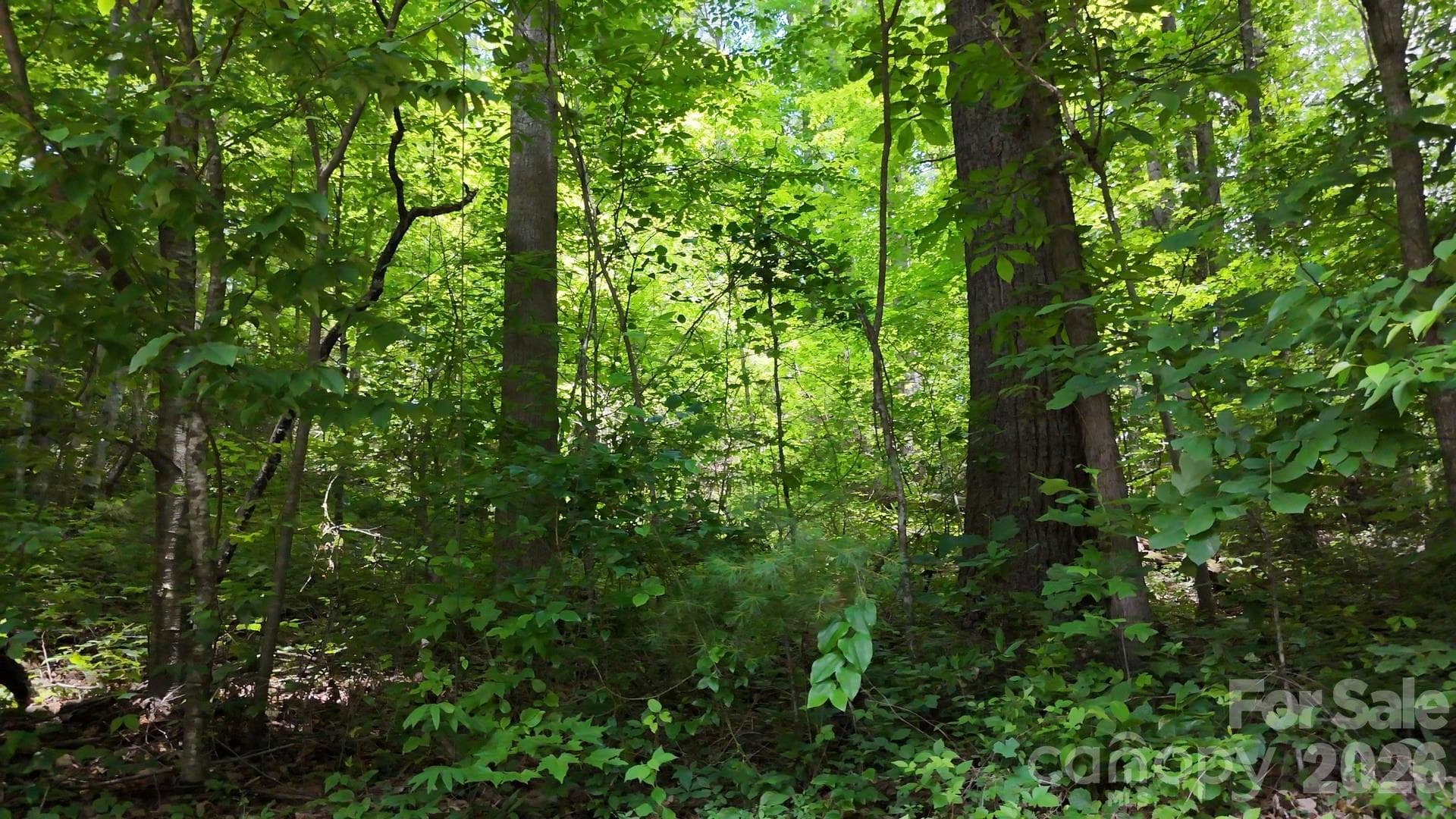 Lot at Waynesville, photo 5 of 10