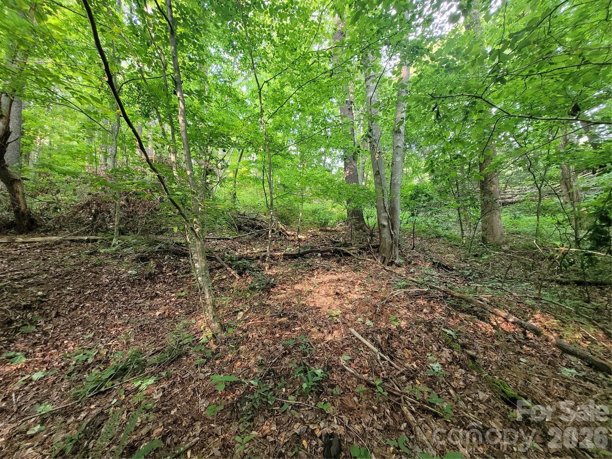 Lot at Waynesville, photo 3 of 10