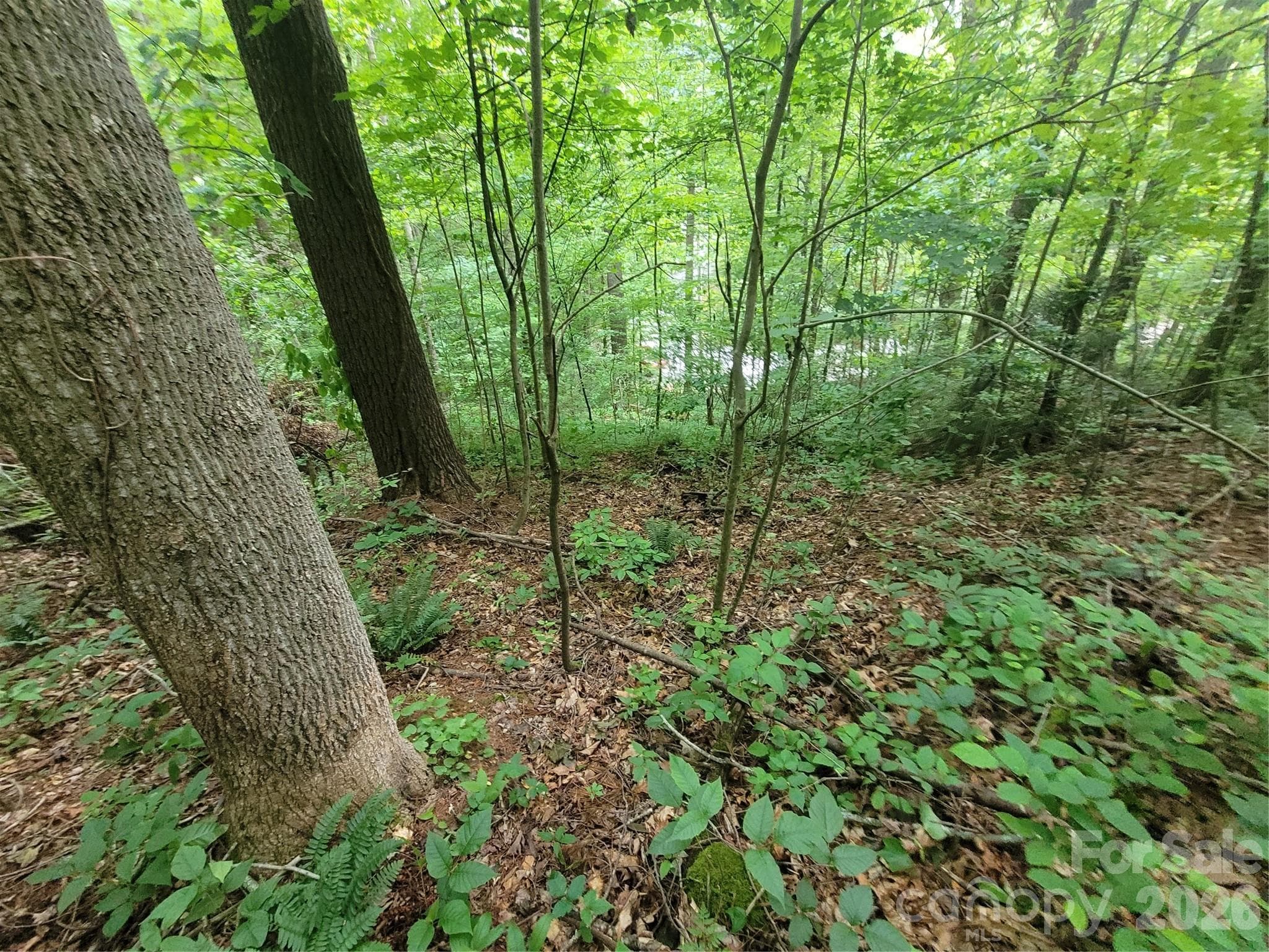 Lot at Waynesville, photo 9 of 10