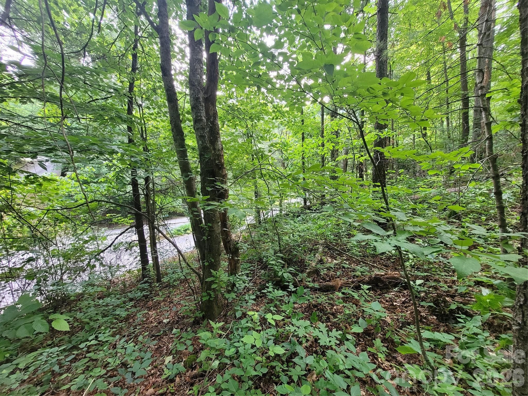 Lot at Waynesville, photo 8 of 10