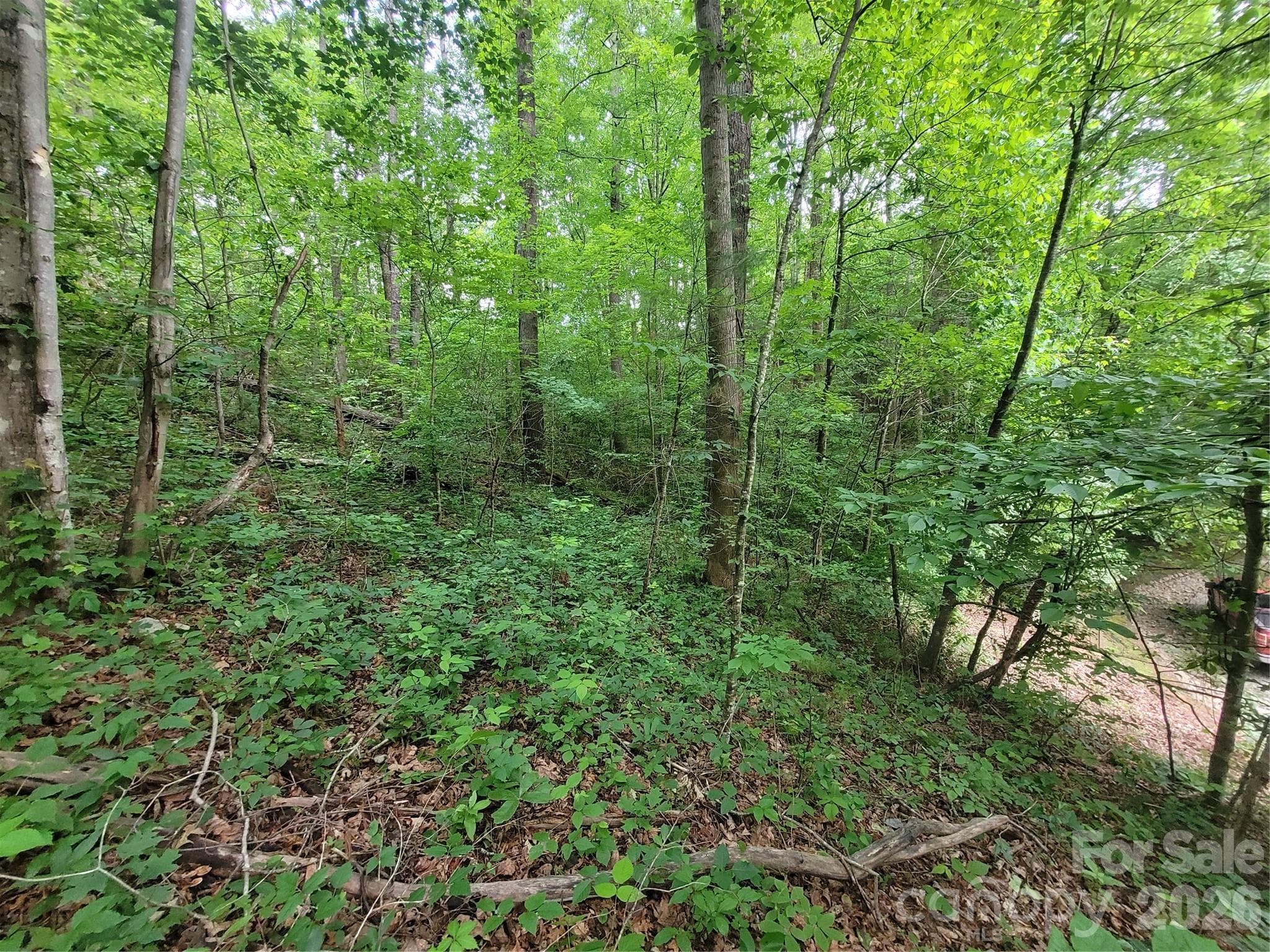 Lot at Waynesville, photo 10 of 10