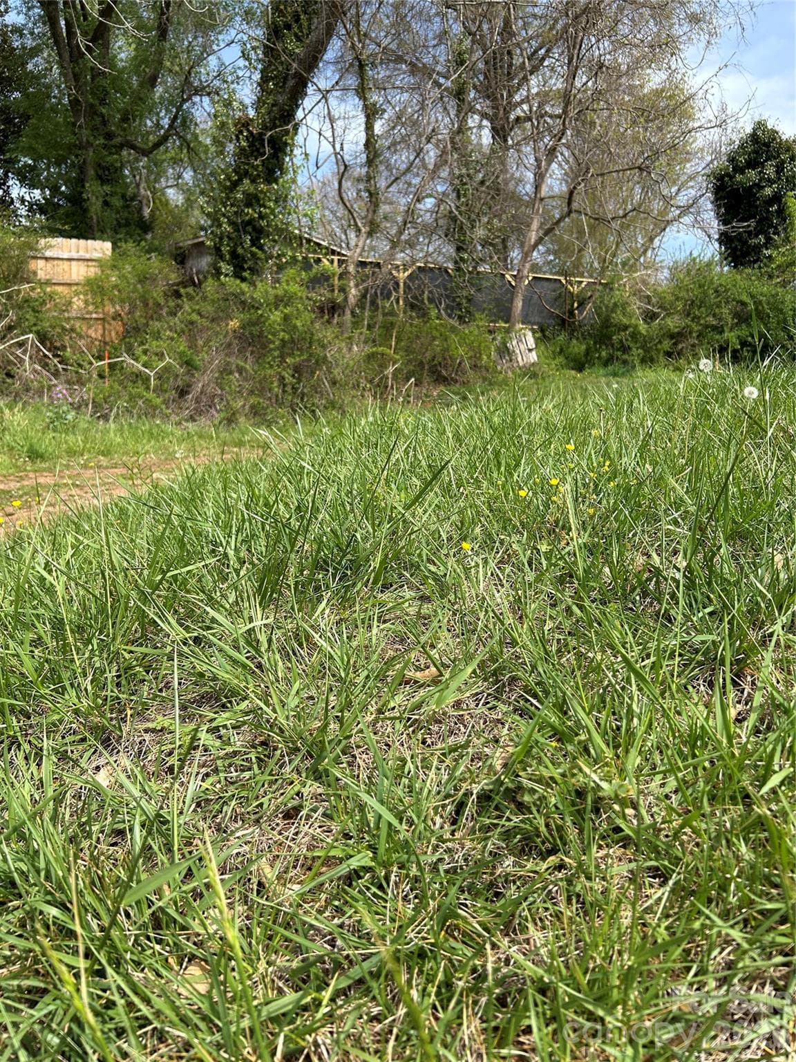 Lot at Asheville, photo 4 of 8