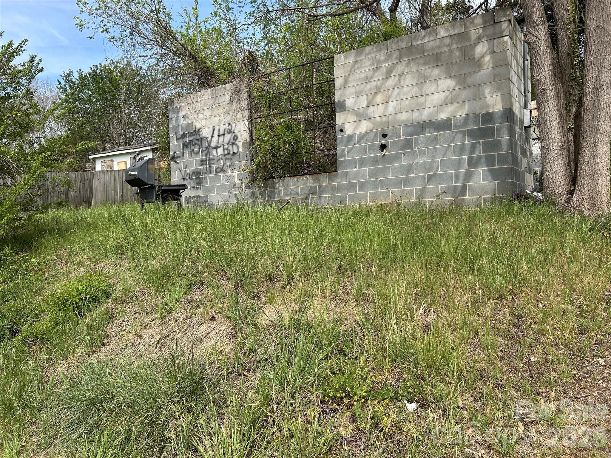 Lot at Asheville, photo 2 of 6