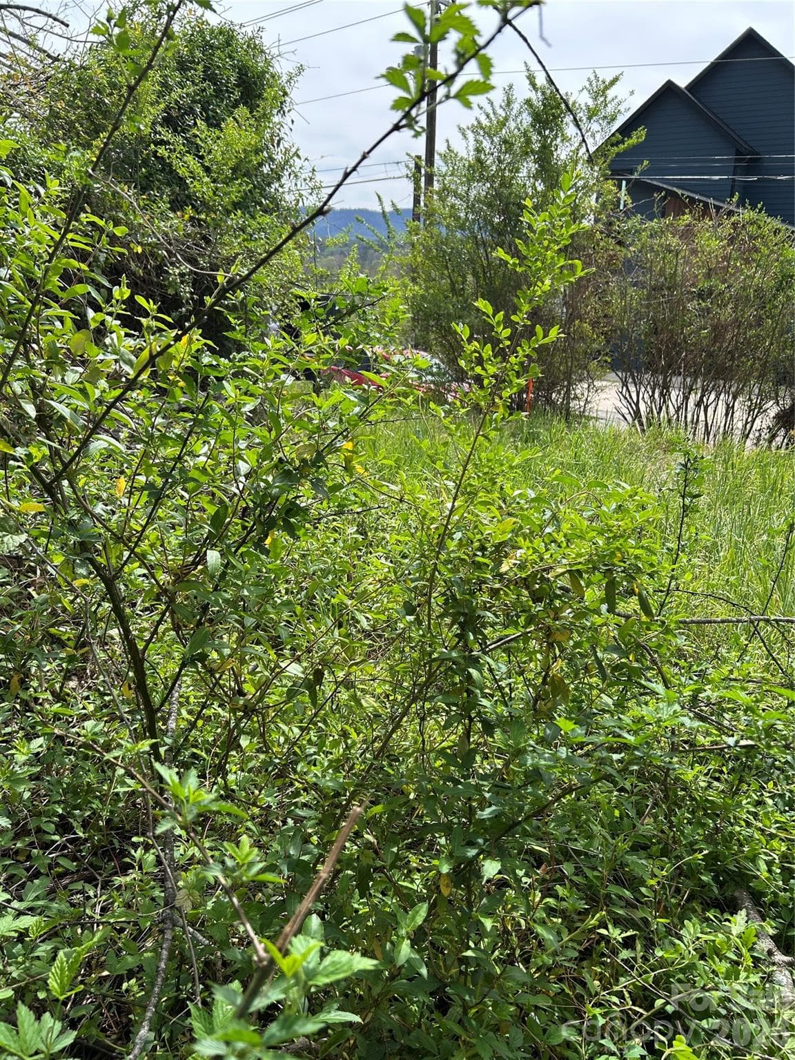 Lot at Asheville, photo 4 of 6