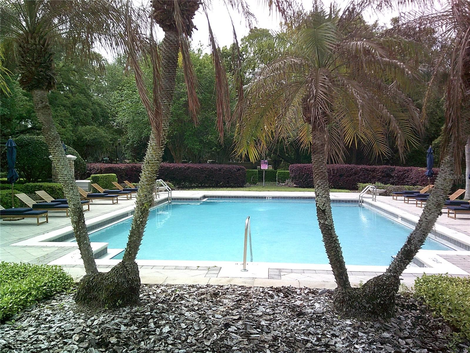 Community Pool - 6292 TWAIN ST #107, ORLANDO
