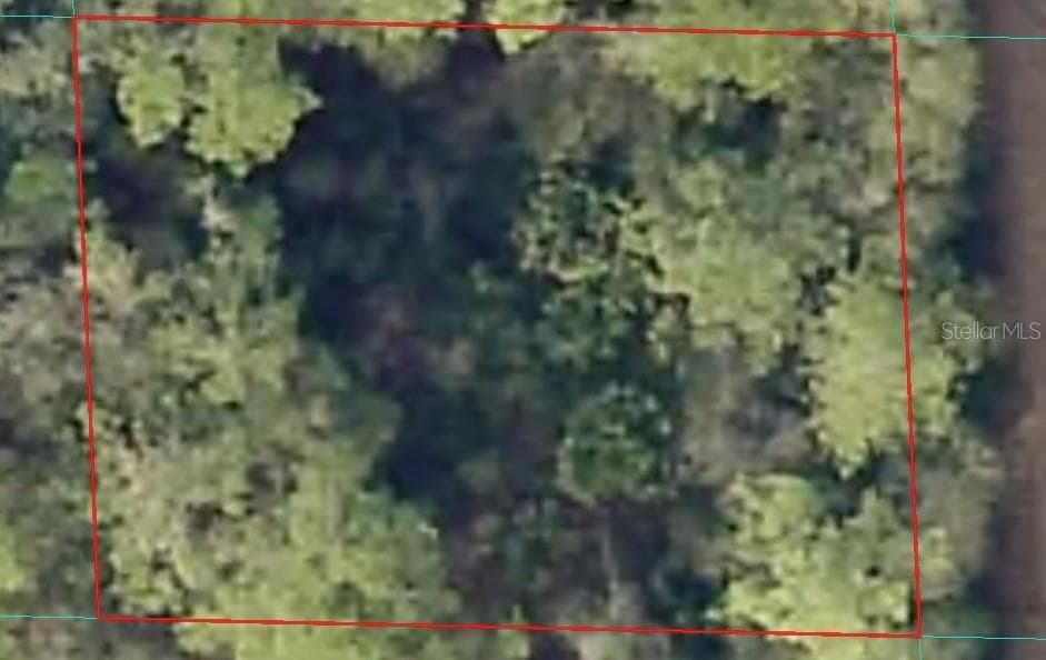 Land at 00 NE 66TH CT, CITRA, photo 7 of 8