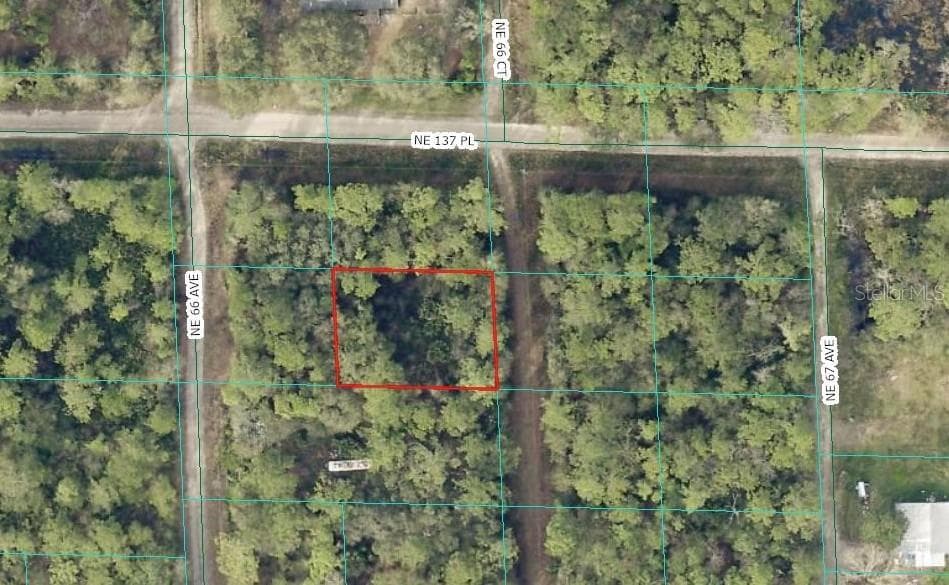 Land at 00 NE 66TH CT, CITRA, photo 2 of 8