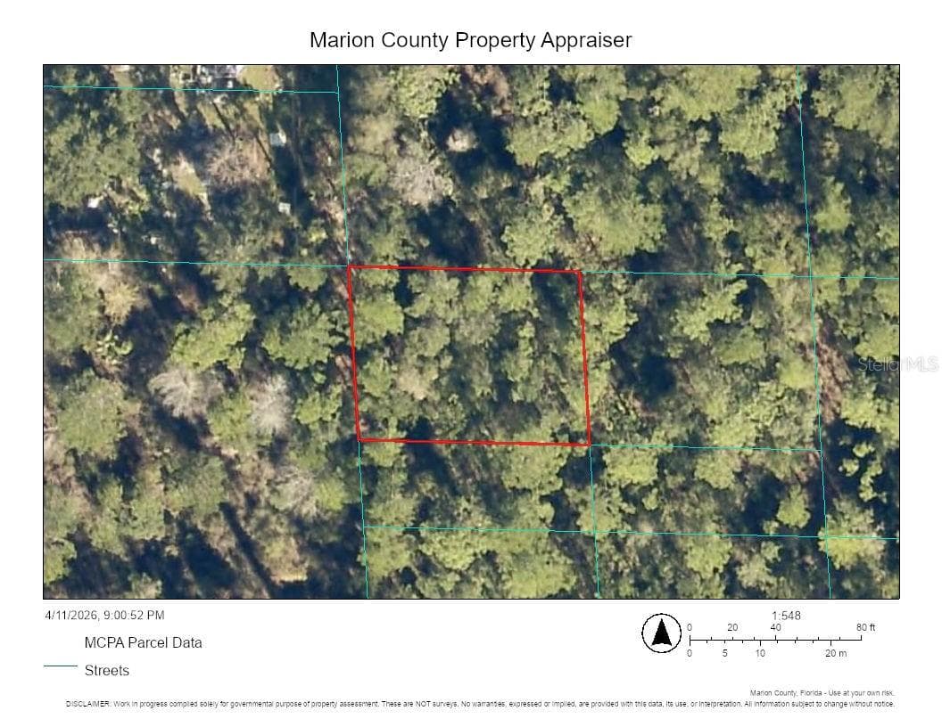 Land at 00 NE 69TH AVE, CITRA, photo 2 of 3