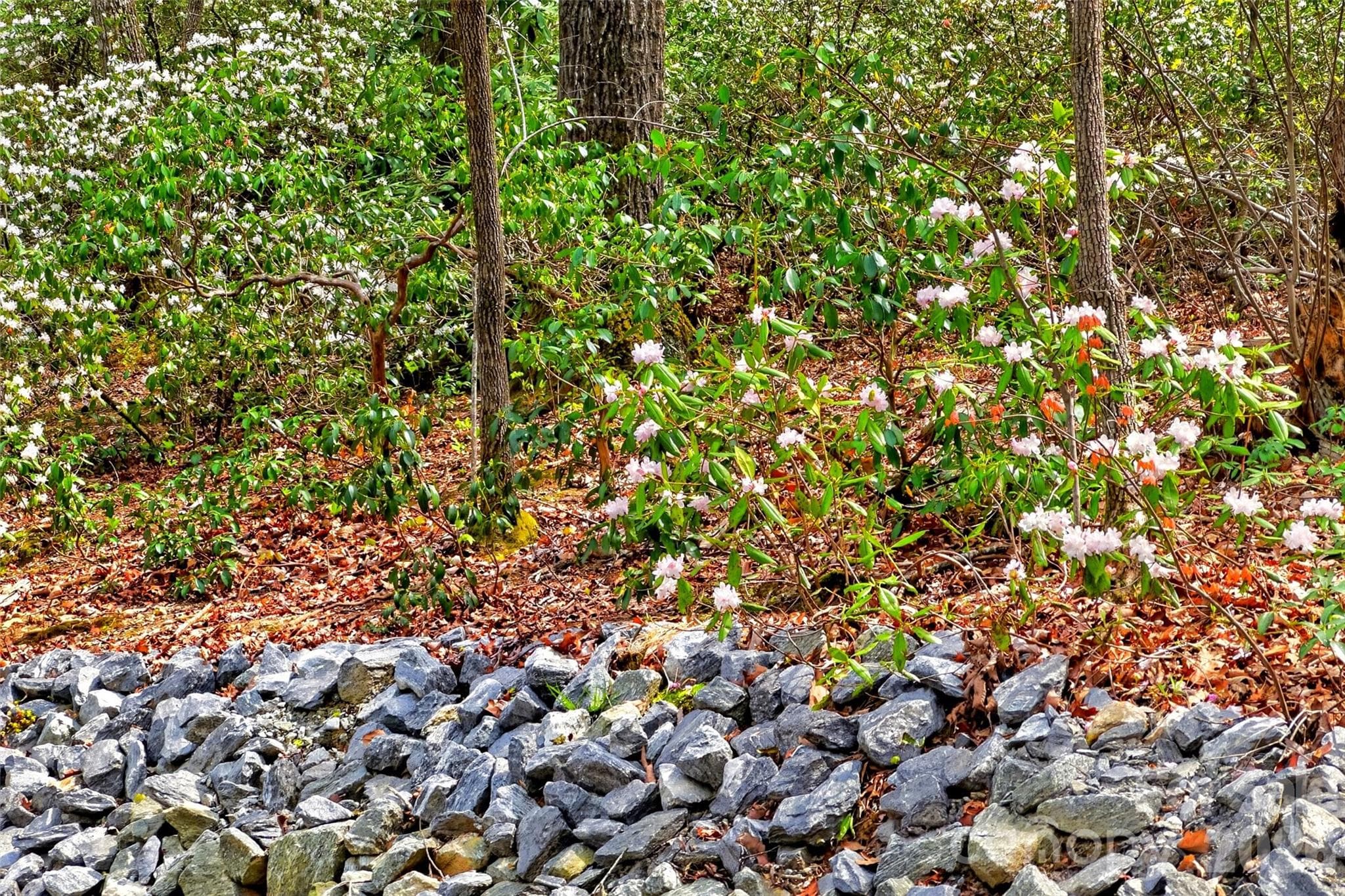 Low maintenance yard and landscaping leaves you more time to do things you enjoy! - 1413 Golf Course Road, Old Fort