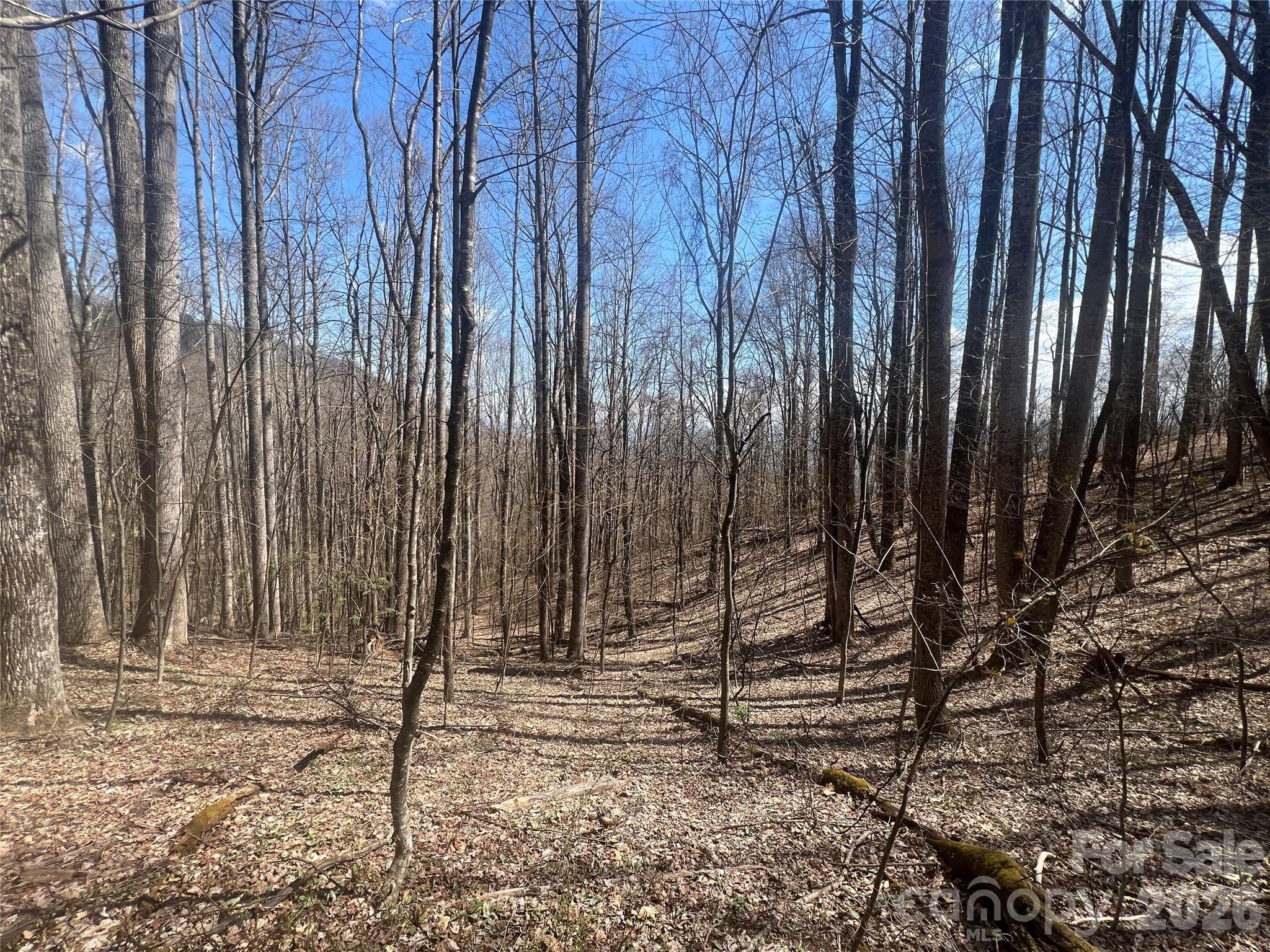 Lot at Waynesville, photo 2 of 19