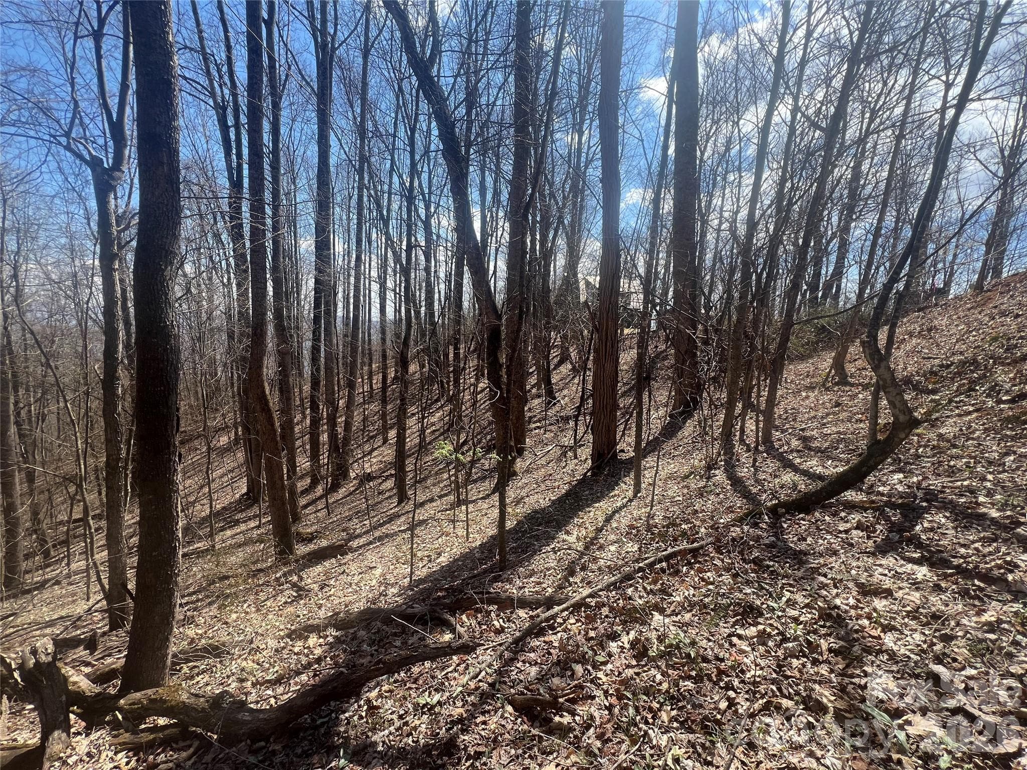 Lot at 200 Wolverine Court, Waynesville, photo 13 of 19