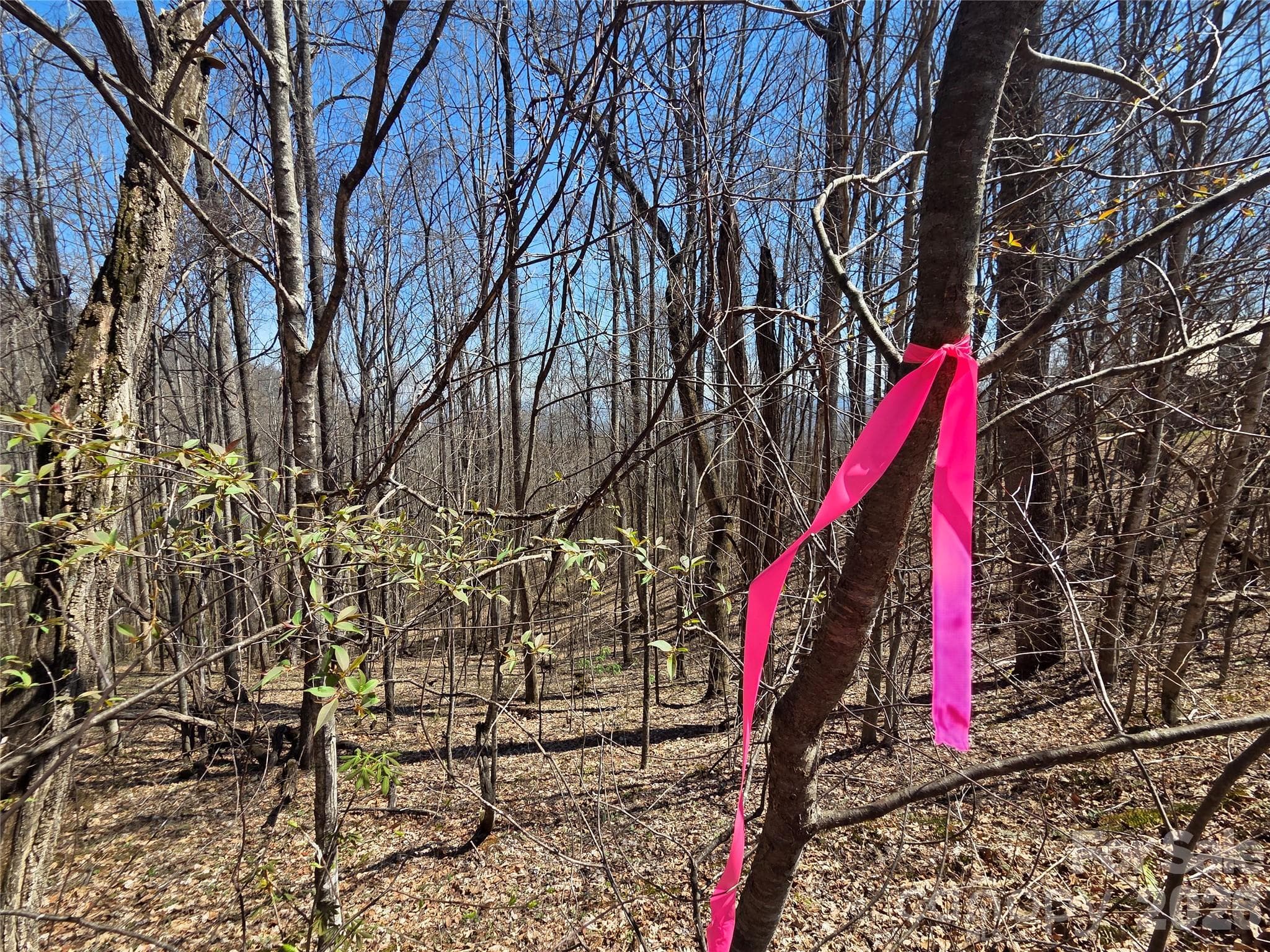 Lot at 200 Wolverine Court, Waynesville, photo 5 of 19