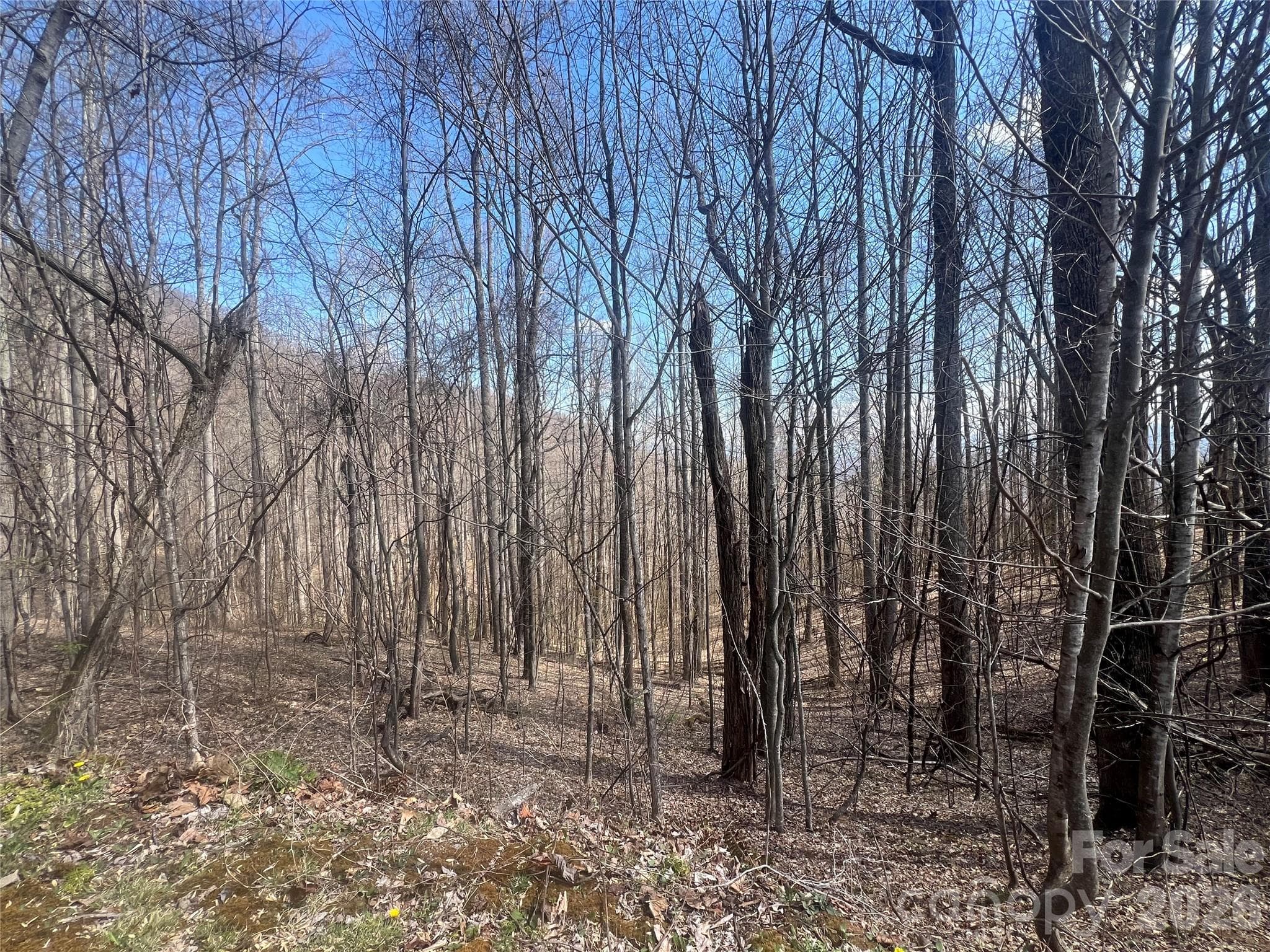 Lot at 200 Wolverine Court, Waynesville, photo 7 of 19