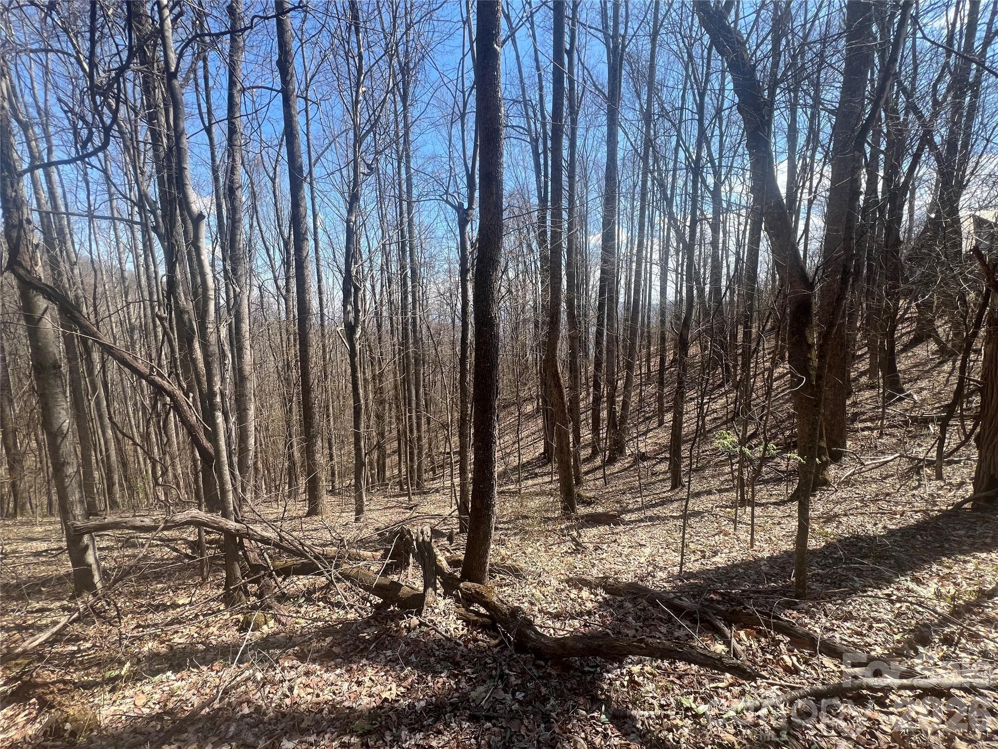 Lot at 200 Wolverine Court, Waynesville, photo 18 of 19