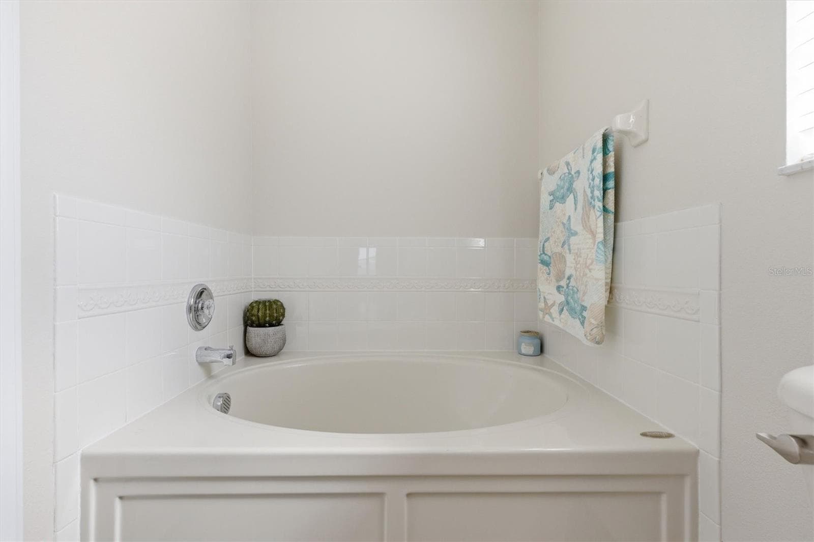 MASTER TUB - 25831 SYME CT, LAND O LAKES