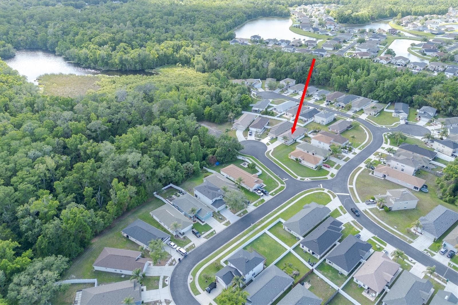AERIAL VIEW 1 - 25831 SYME CT, LAND O LAKES