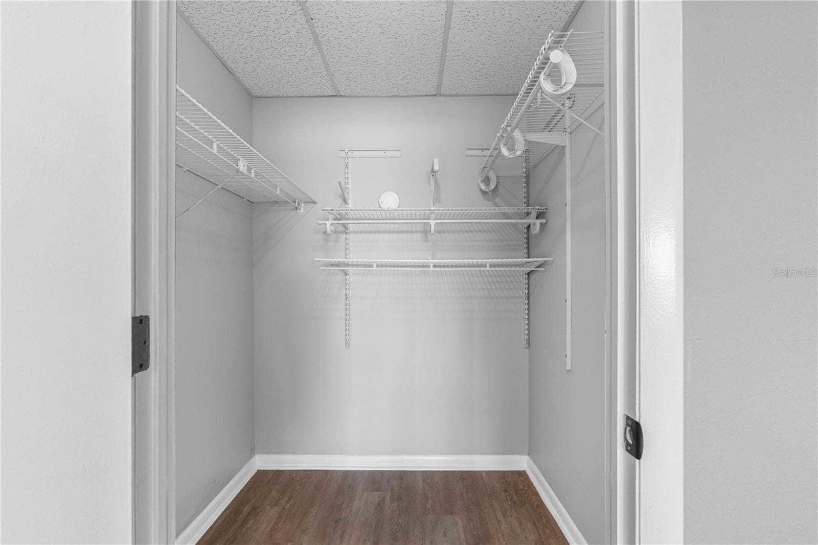 Guest Bedroom Walk-In Closet - 100 BLUFF VIEW DR #404C, BELLEAIR BLUFFS