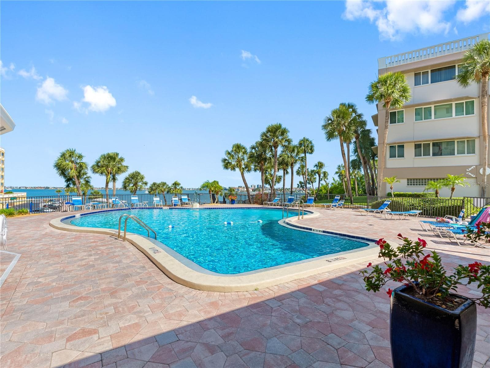 Community Pool - 100 BLUFF VIEW DR #404C, BELLEAIR BLUFFS