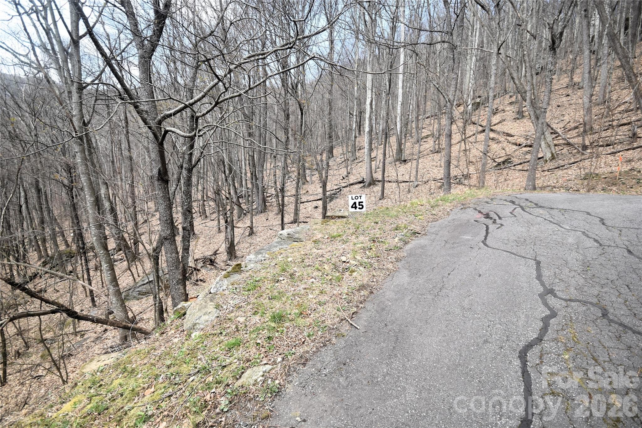 Middle of lot 45 from Prosperity Ridge - Waynesville