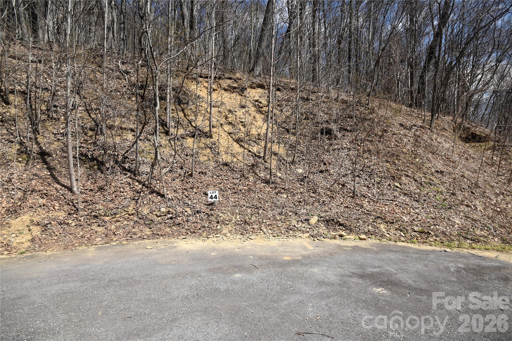 Lot 44 from the bottom of the lot - Waynesville