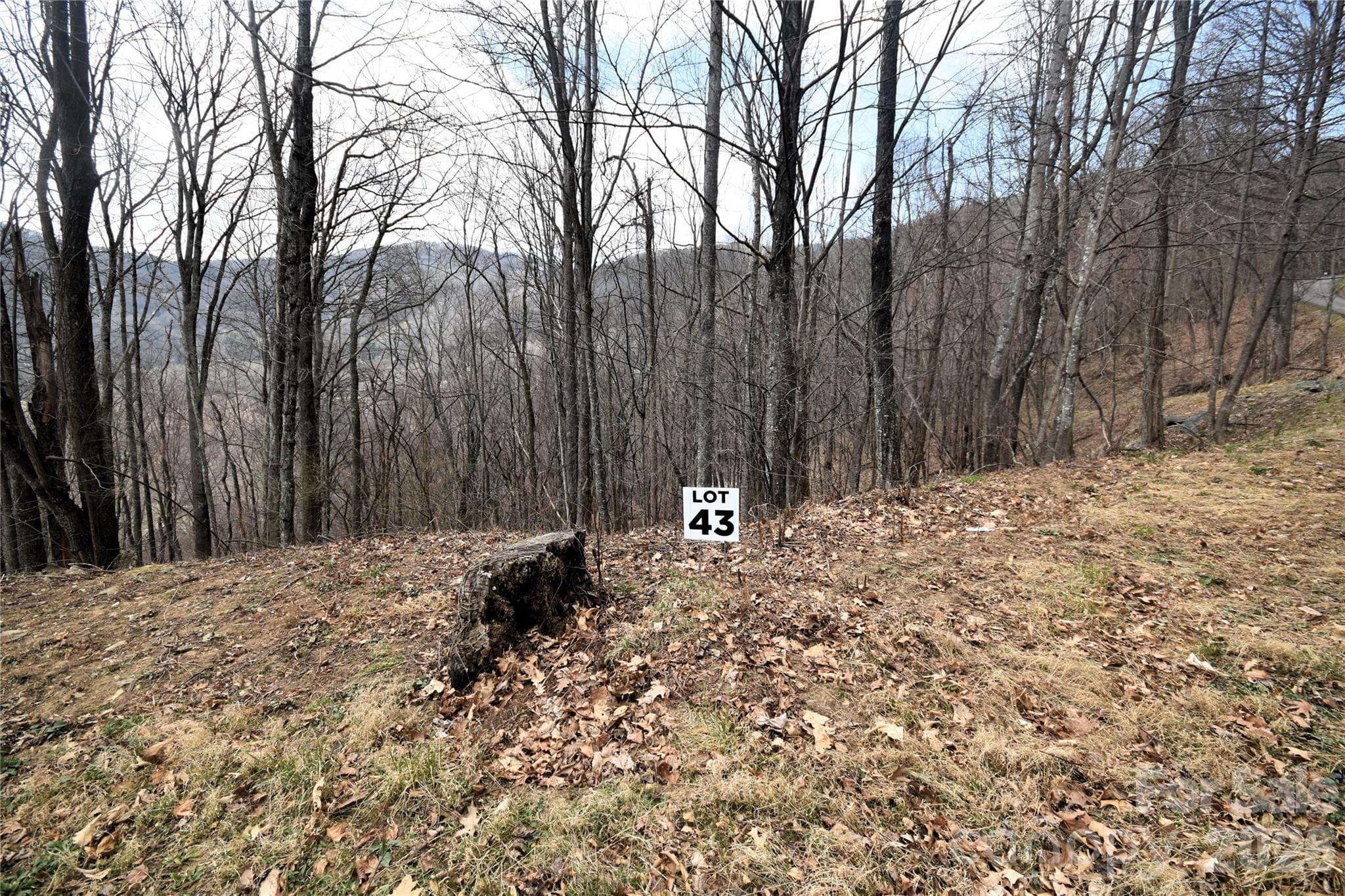 From top of lot on Prosperity Ridge - Waynesville
