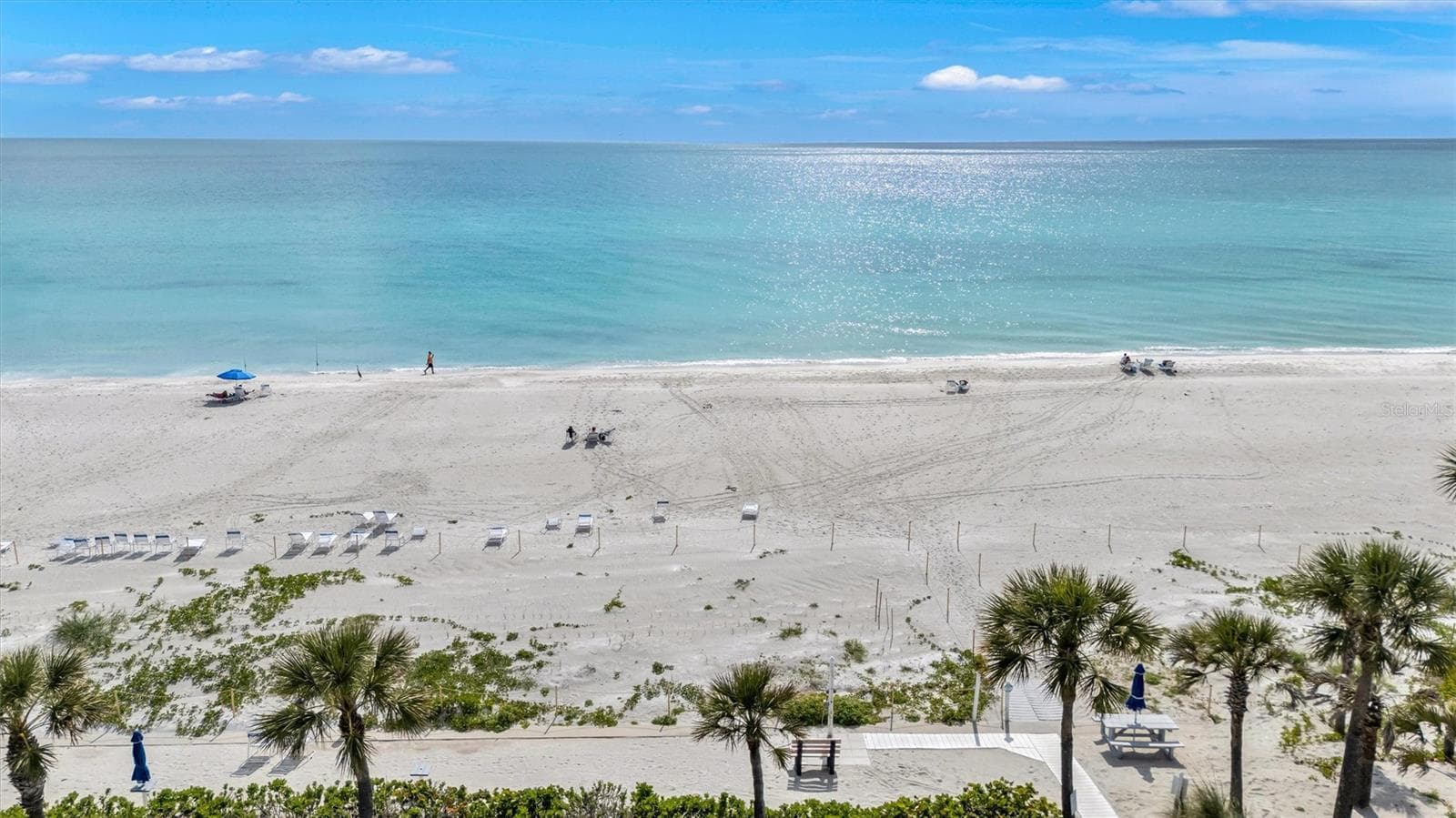 3806 GULF OF MEXICO DR #C310