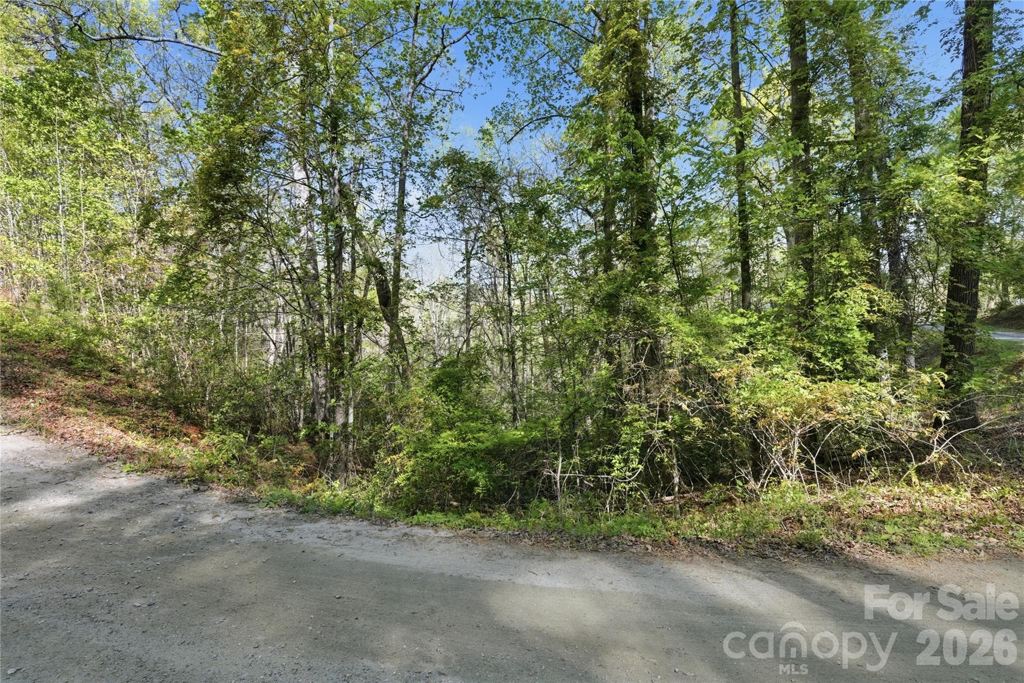 Lot at 0 Wolf Trail, Lake Lure, photo 4 of 14