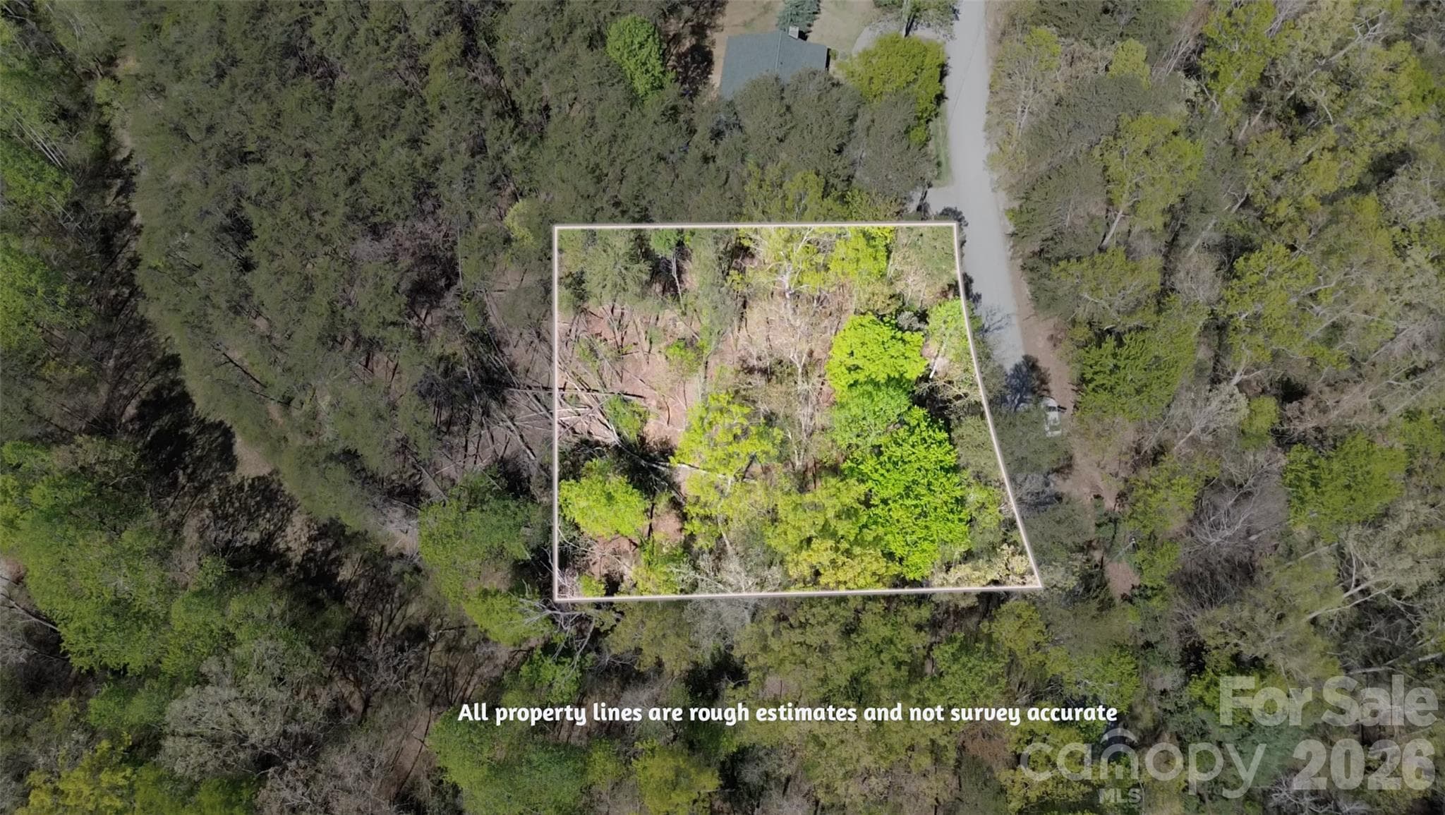 Lot at Lake Lure, photo 2 of 16