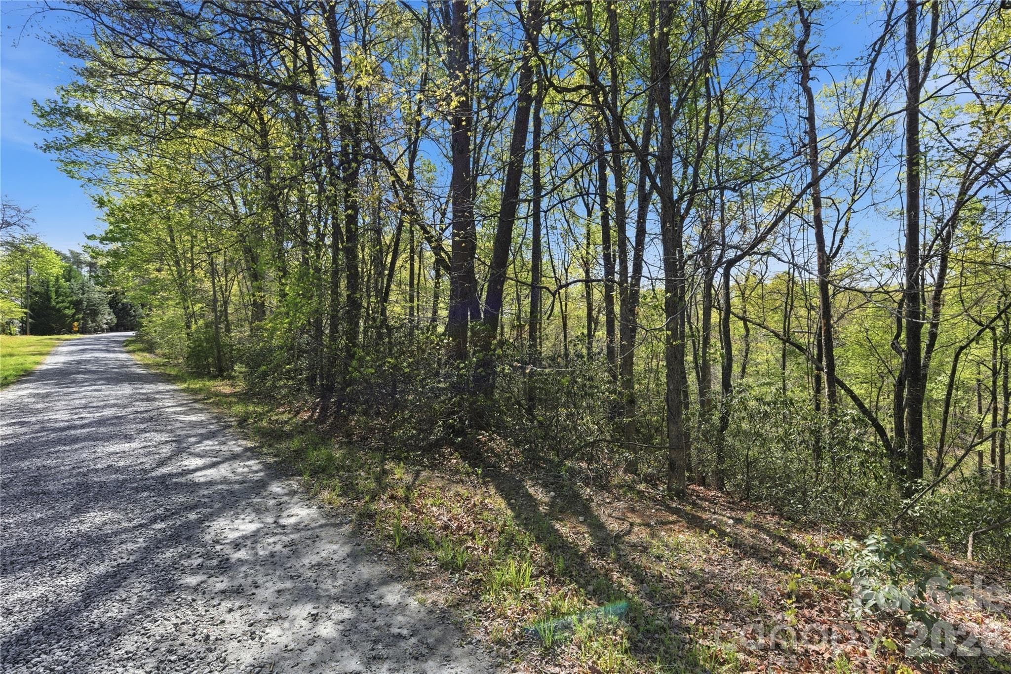 Lot at Lake Lure, photo 4 of 16