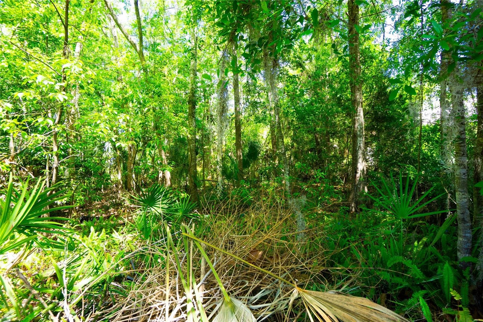 Land at 1028 COLLIER BLVD, ST AUGUSTINE, photo 18 of 18