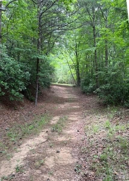 Acreage at Mill Spring, photo 4 of 15