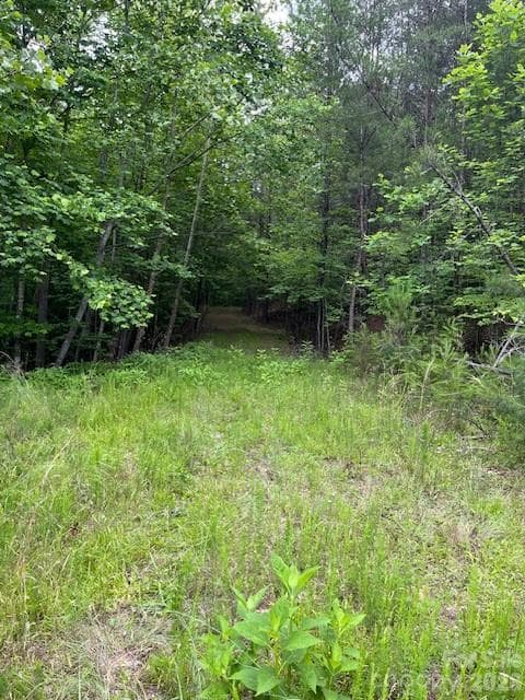 Acreage at Mill Spring, photo 5 of 15