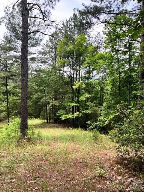 Acreage at Mill Spring, photo 6 of 15
