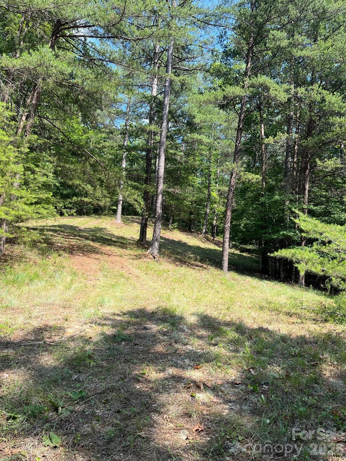 Acreage at Mill Spring, photo 7 of 15
