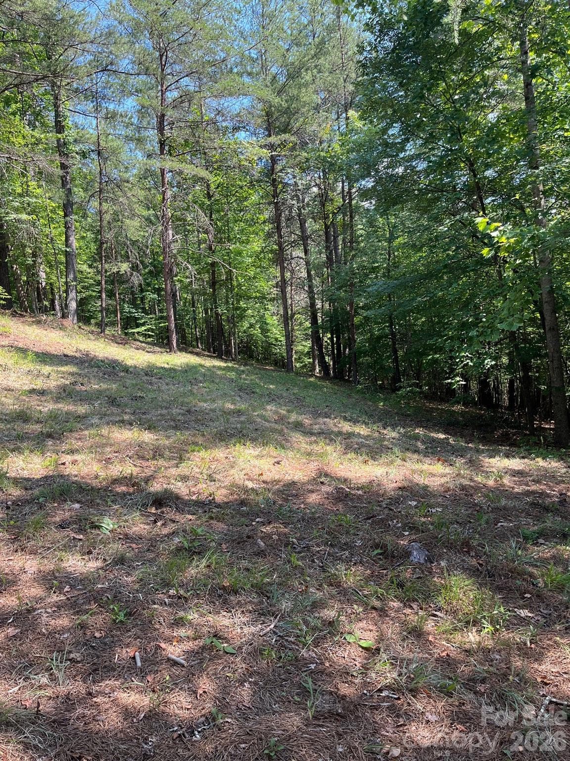 Acreage at Mill Spring, photo 8 of 15