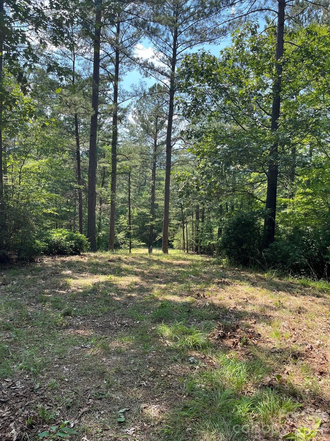 Acreage at Mill Spring, photo 9 of 15