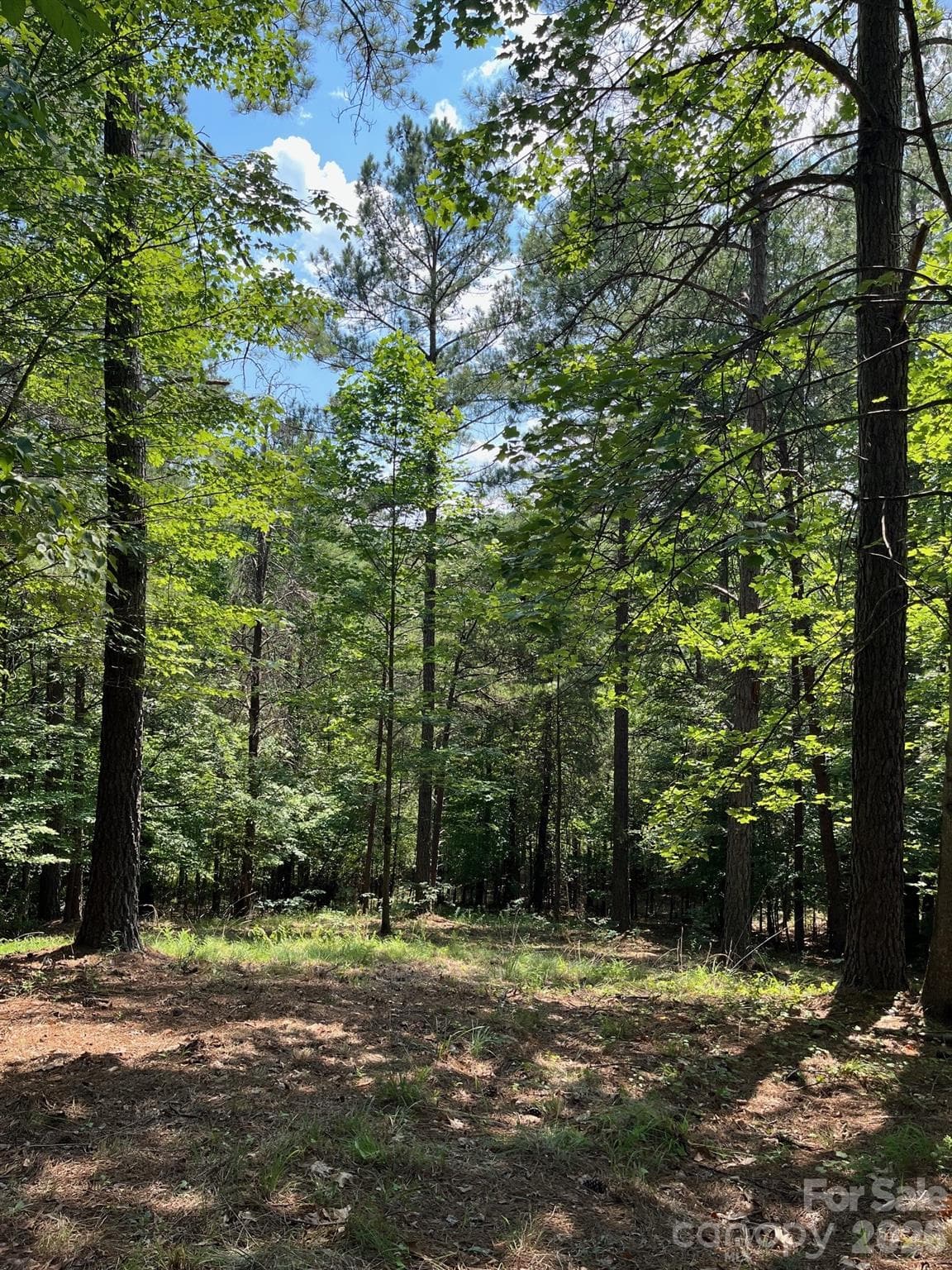 Acreage at Mill Spring, photo 10 of 15