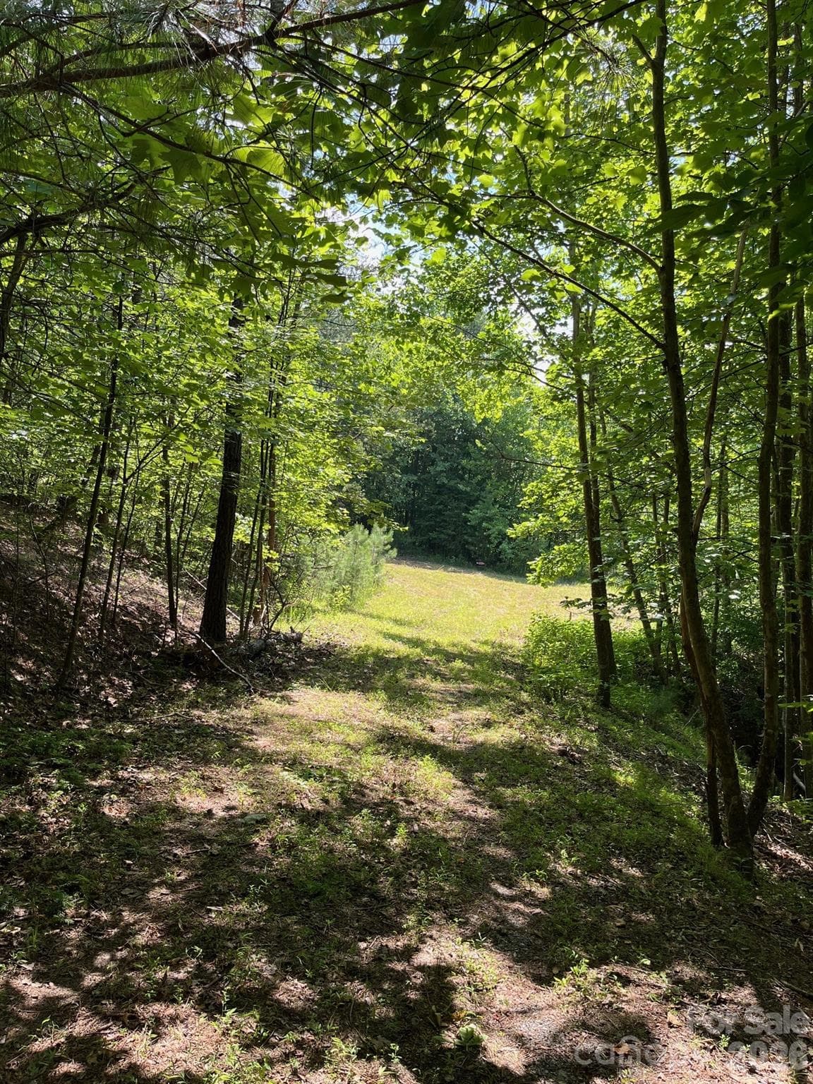 Acreage at Mill Spring, photo 13 of 15