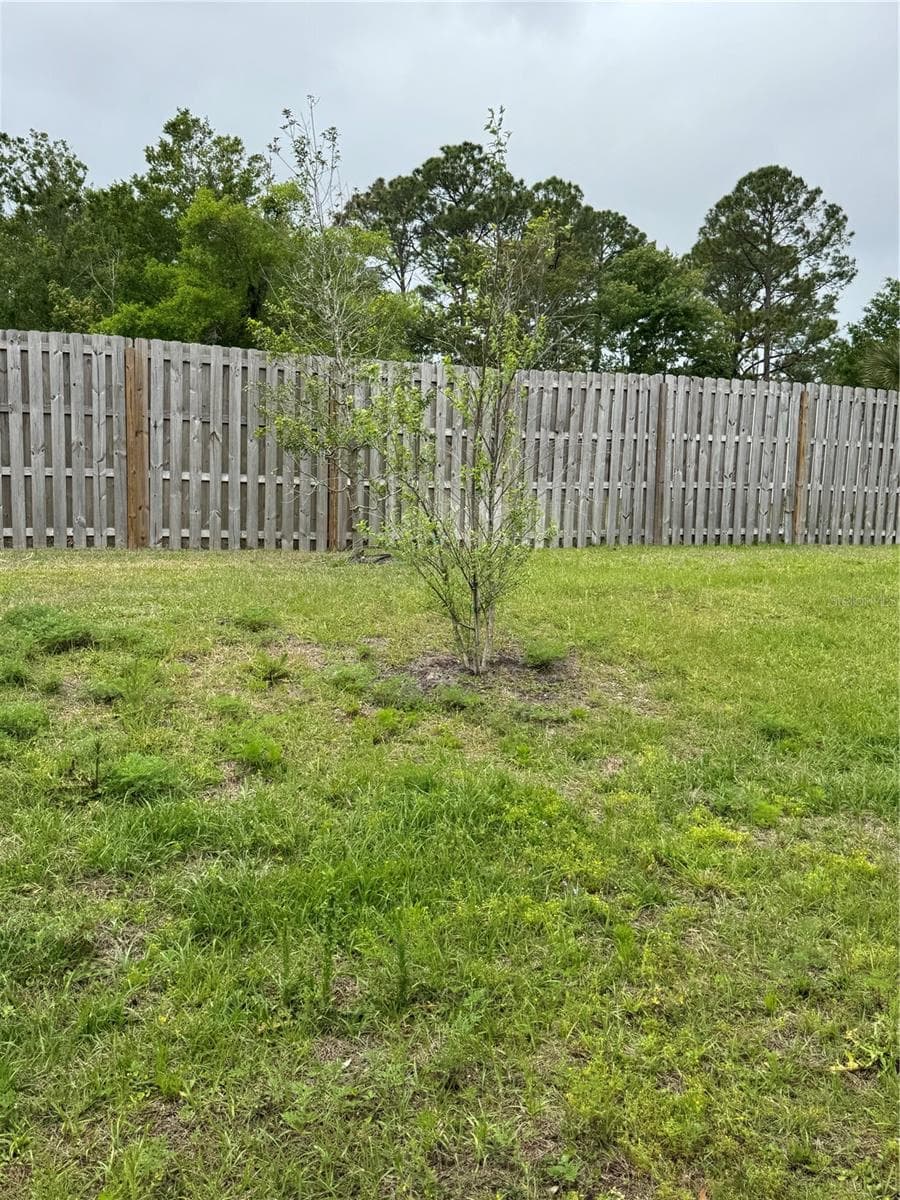 Back yard area - 203 CHESTERWOOD RD, ST AUGUSTINE