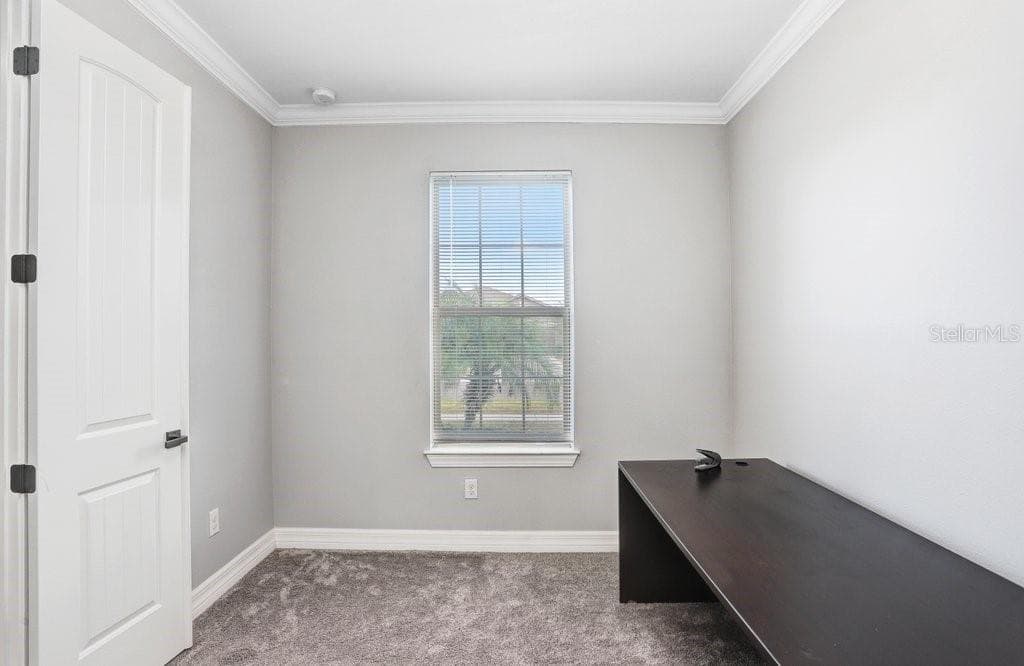 BEDROOM 2 - 11677 BRIGHTON KNOLL LOOP, RIVERVIEW