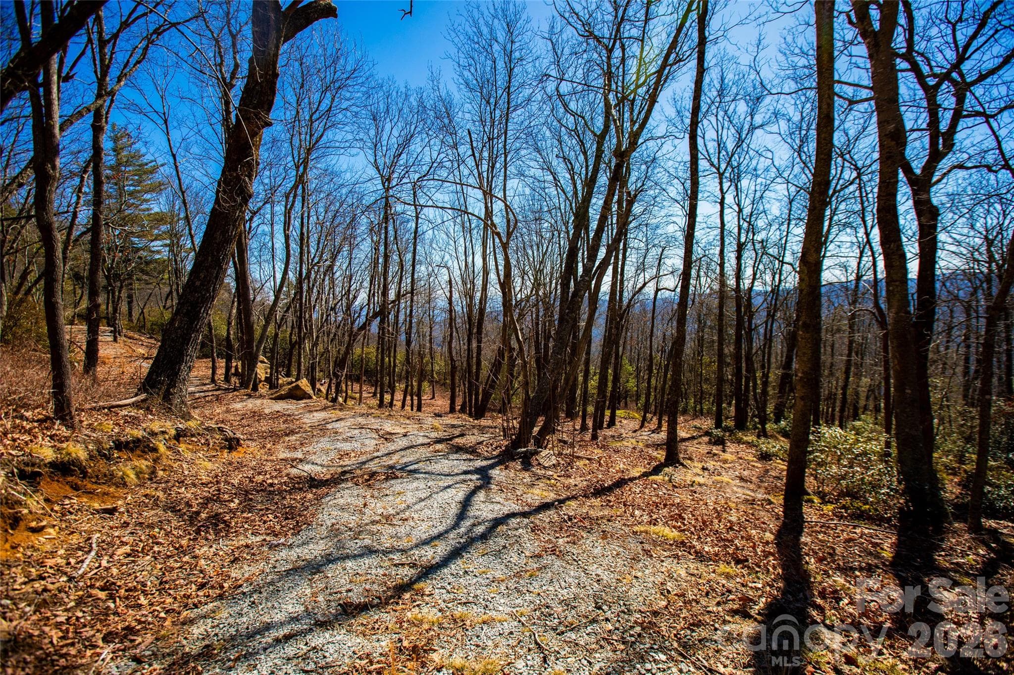 Lot at Lot 19 W Whitetail Drive, Sapphire, photo 12 of 28
