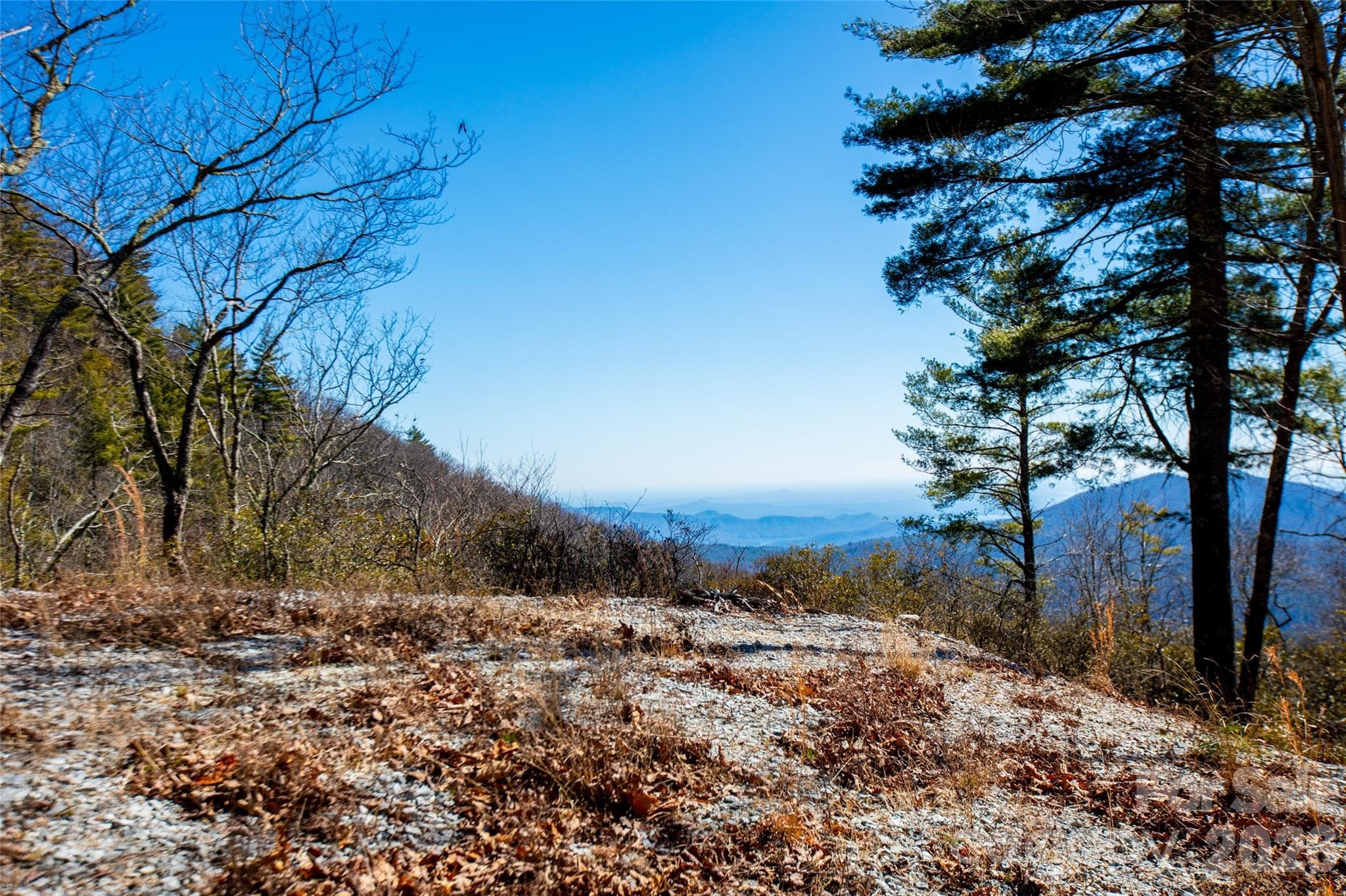 Lot at Lot 19 W Whitetail Drive, Sapphire, photo 13 of 28